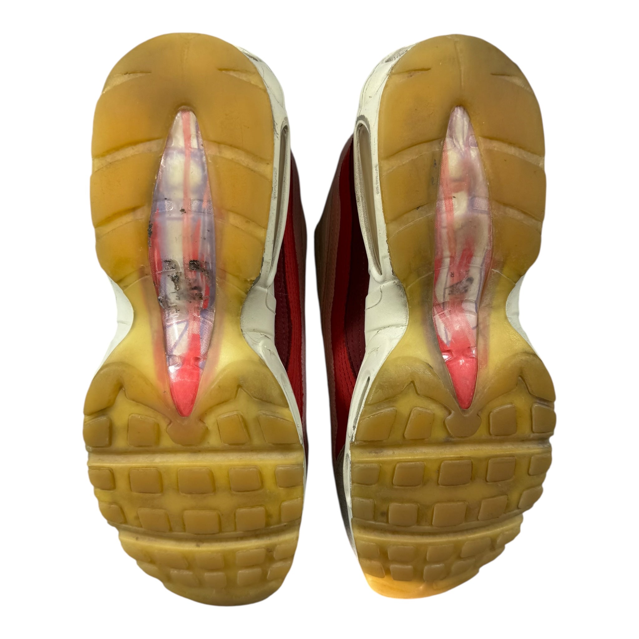 Air max 95 Anatomy (45)