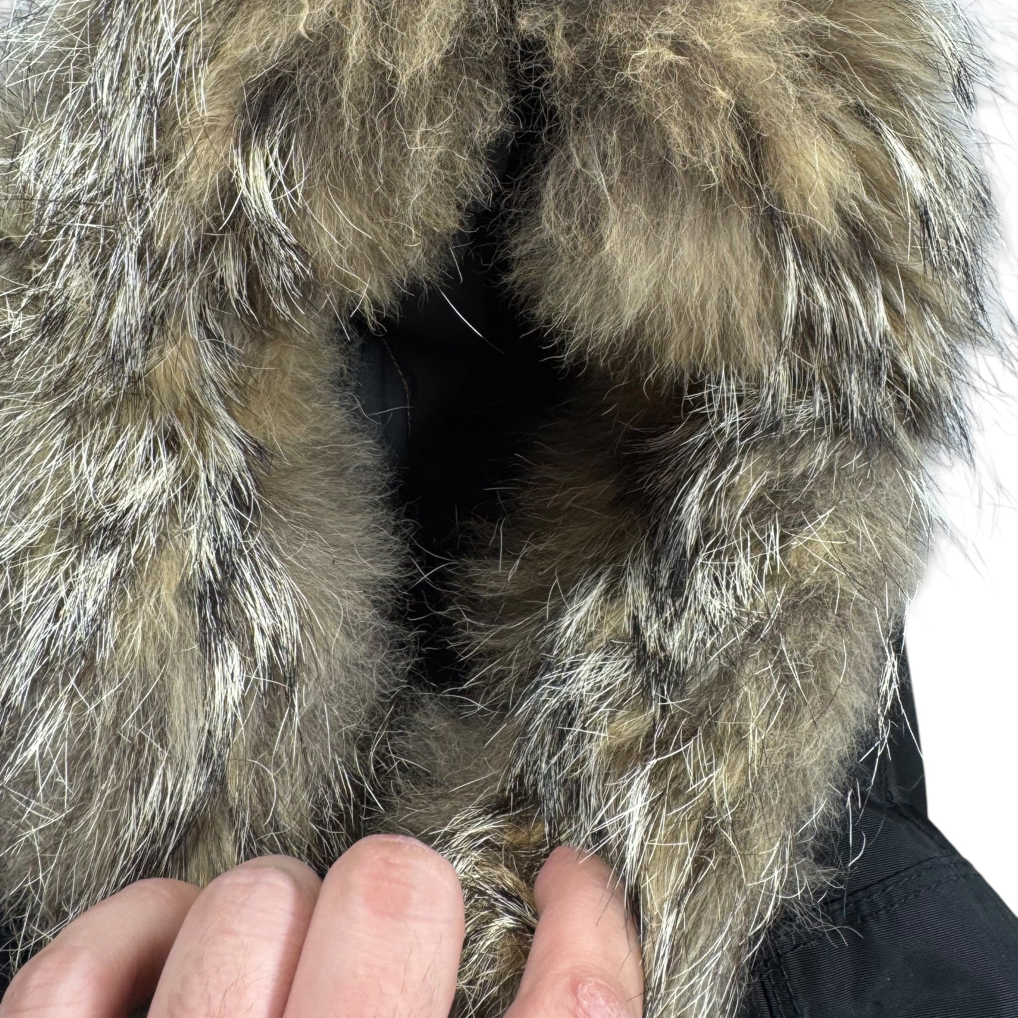 Doudoune Parajumpers (L)