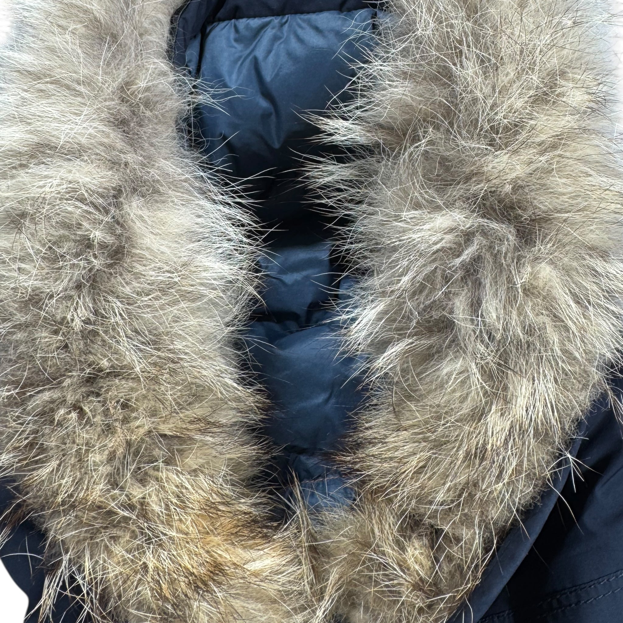 Doudoune Parajumpers (Young-Large)