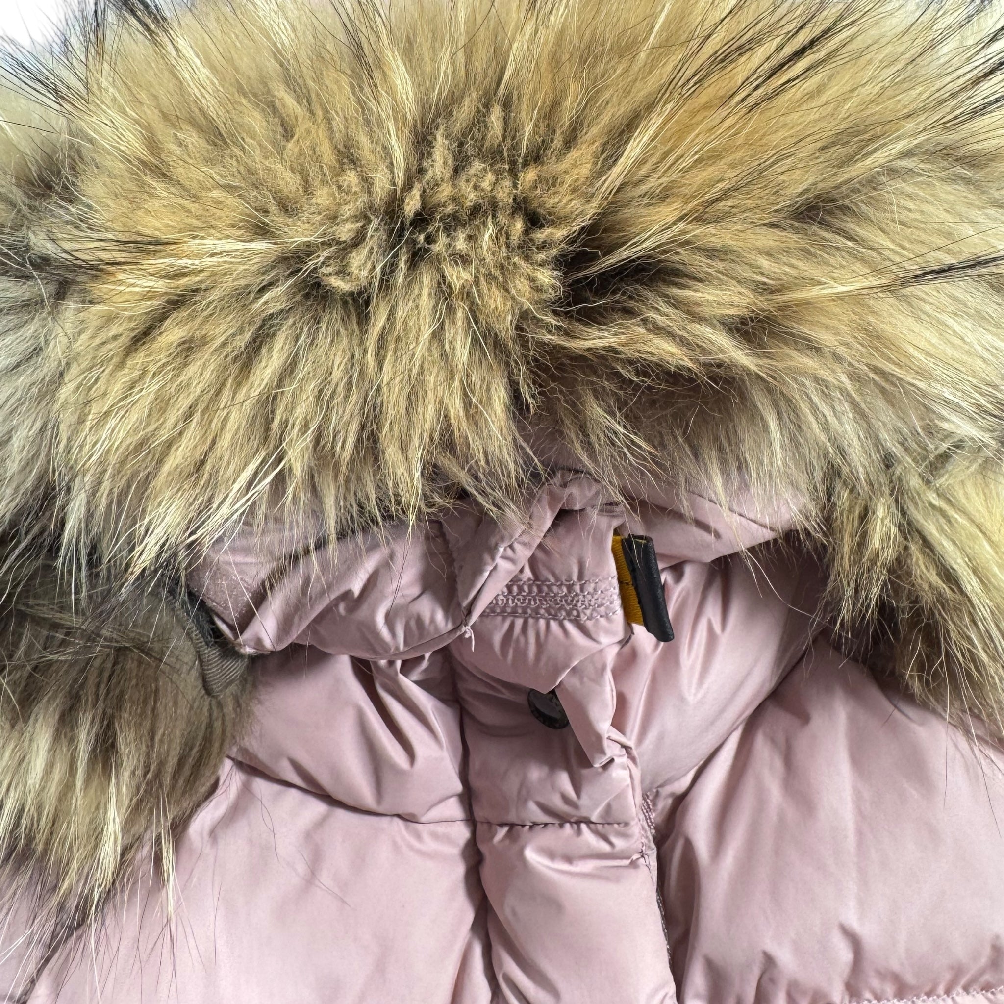 Doudoune Parajumpers (Young-Large)