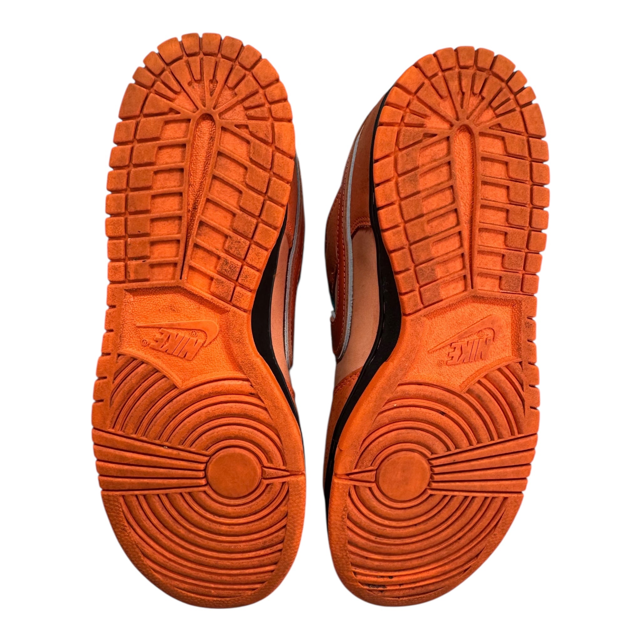 Dunk SB Lobster (41EU)