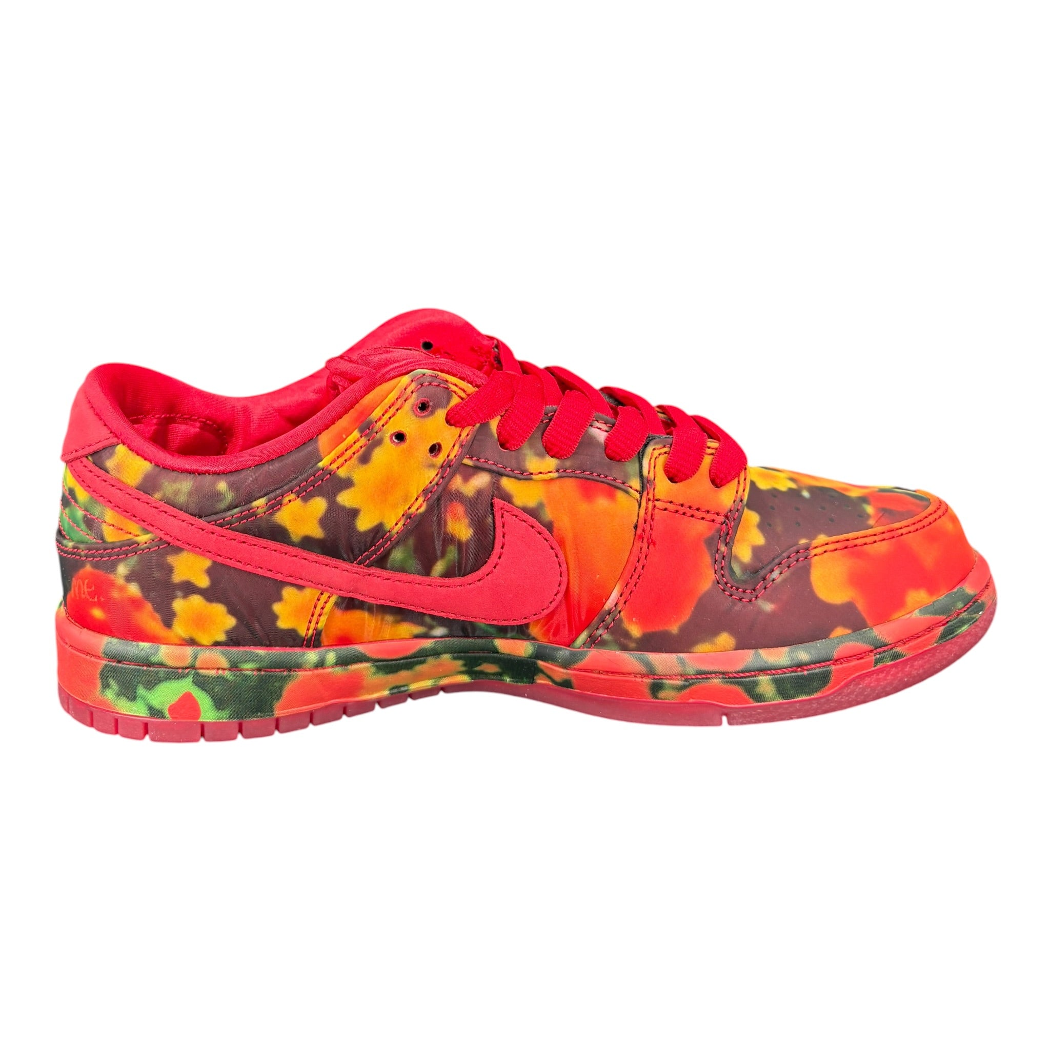 Dunk SB Low Wizard Of Oz Ds (41EU)