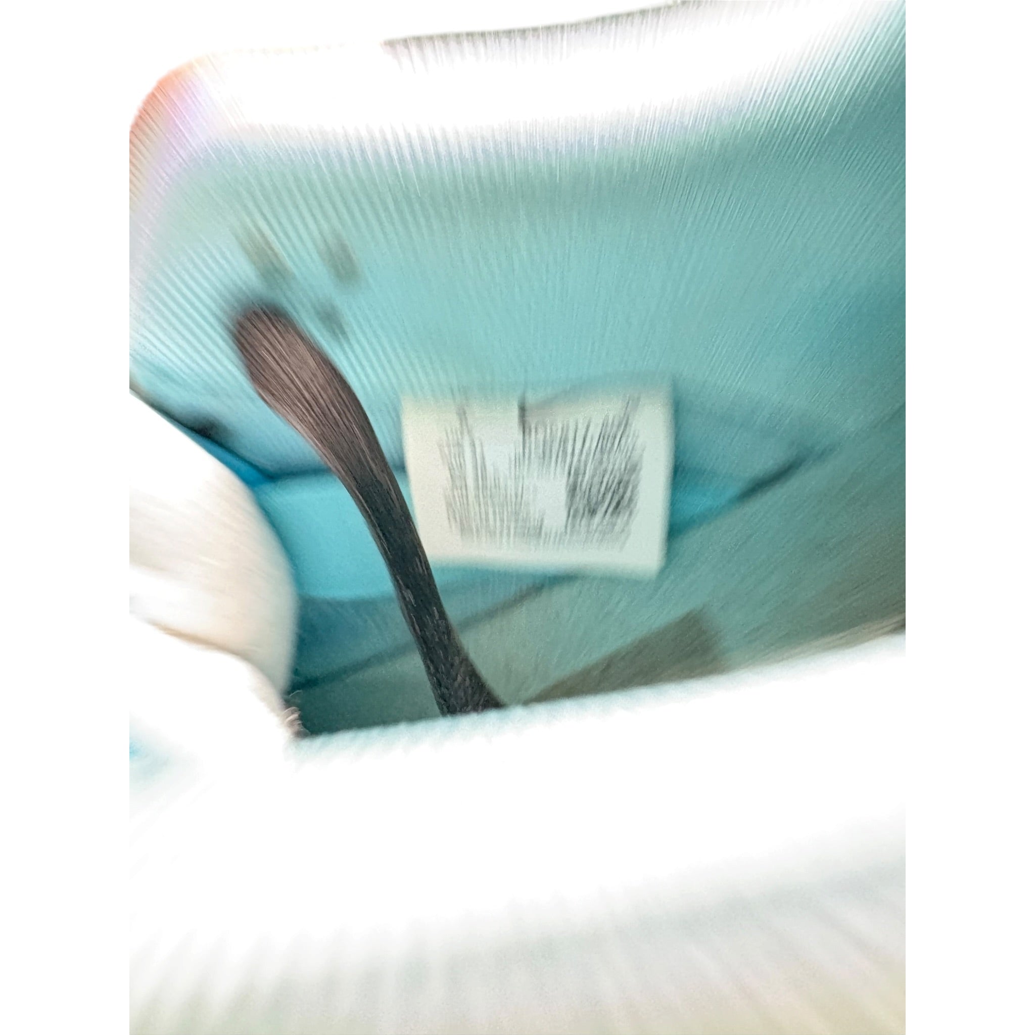 Dunk SB Low Gulf 58 (41EU)