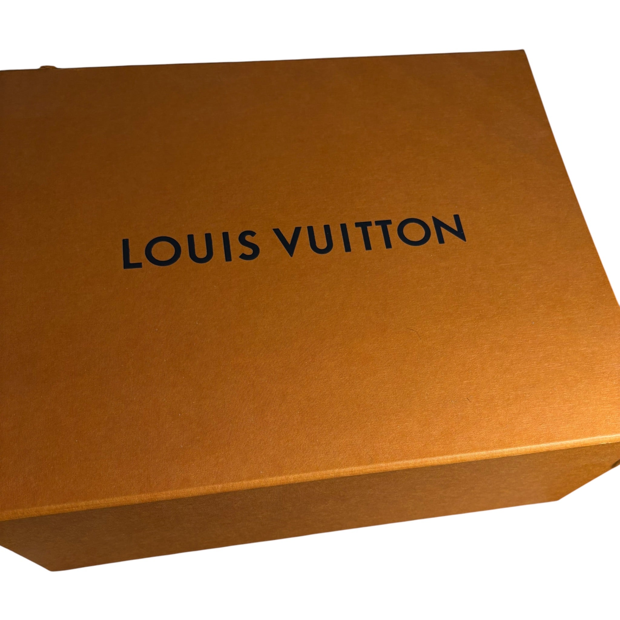 Louis Vuitton Trainer (6)