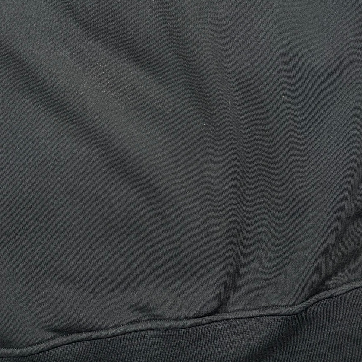 Sweat Stone Island (L)