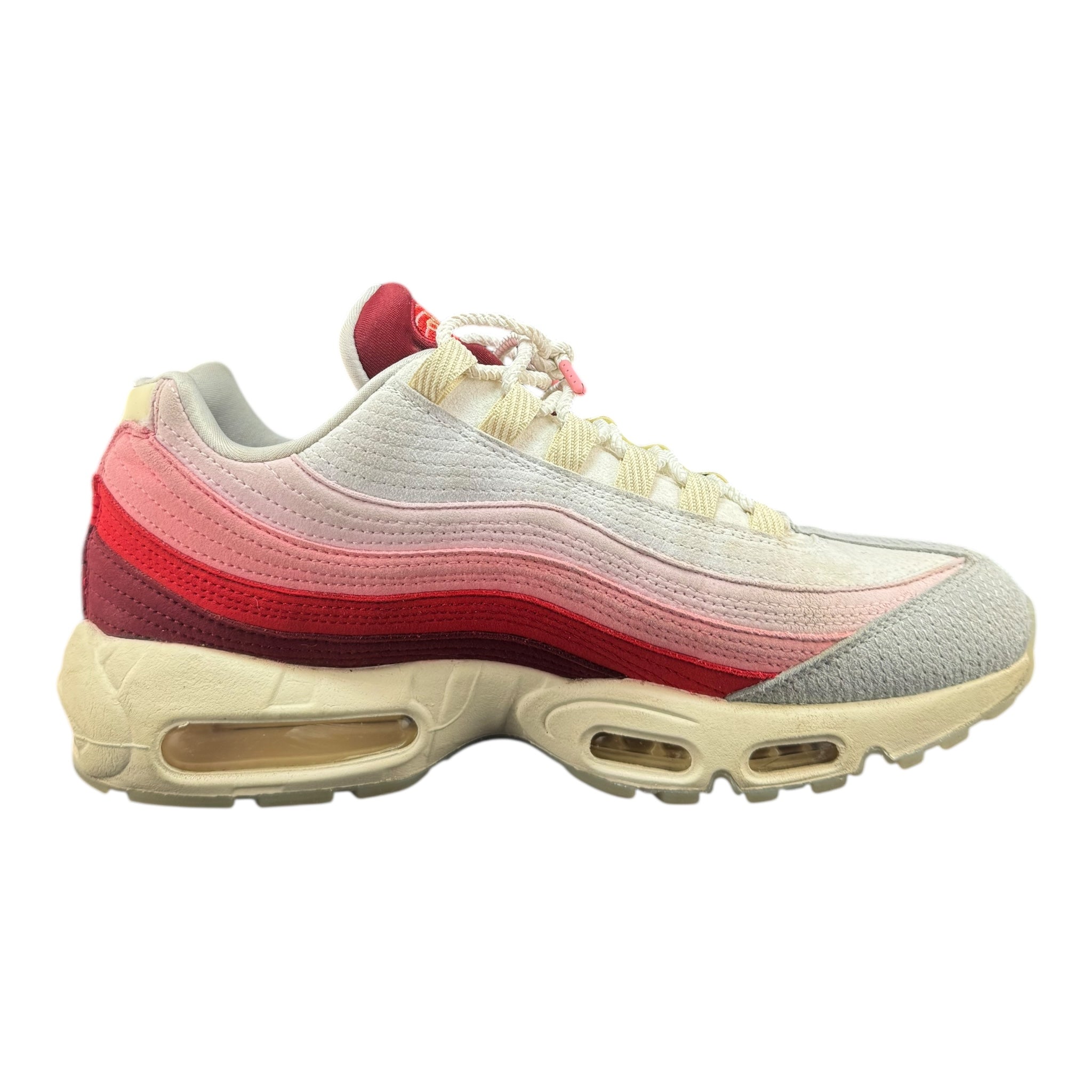 Air Max 95 Anatomy Of Air (44.5EU)