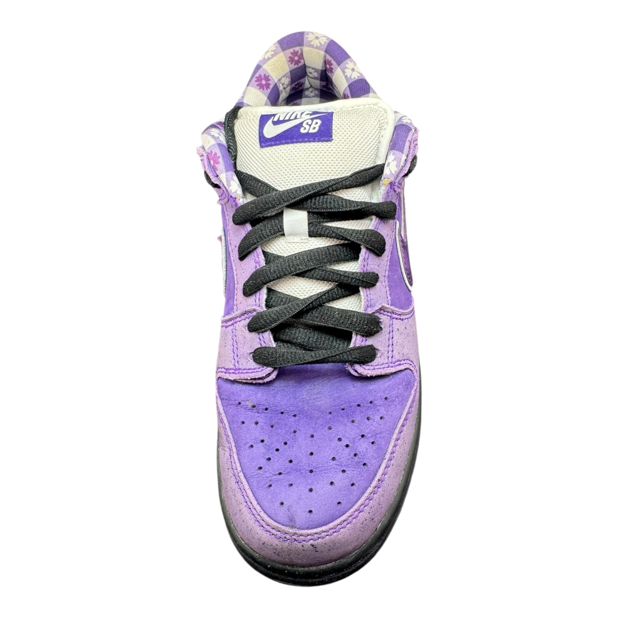 Dunk Sb Lobster Purple (41EU)