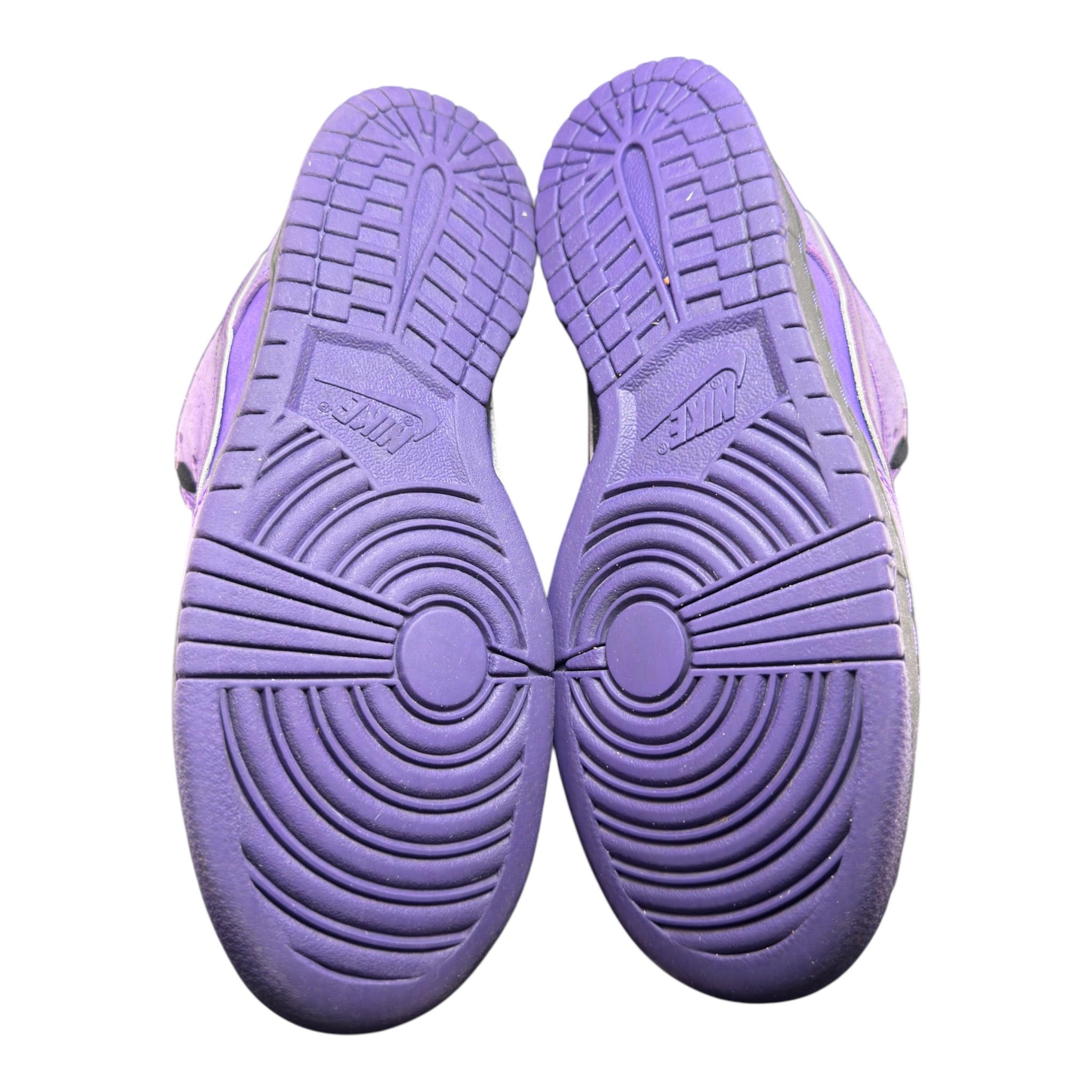 Dunk Sb Lobster Purple (41EU)