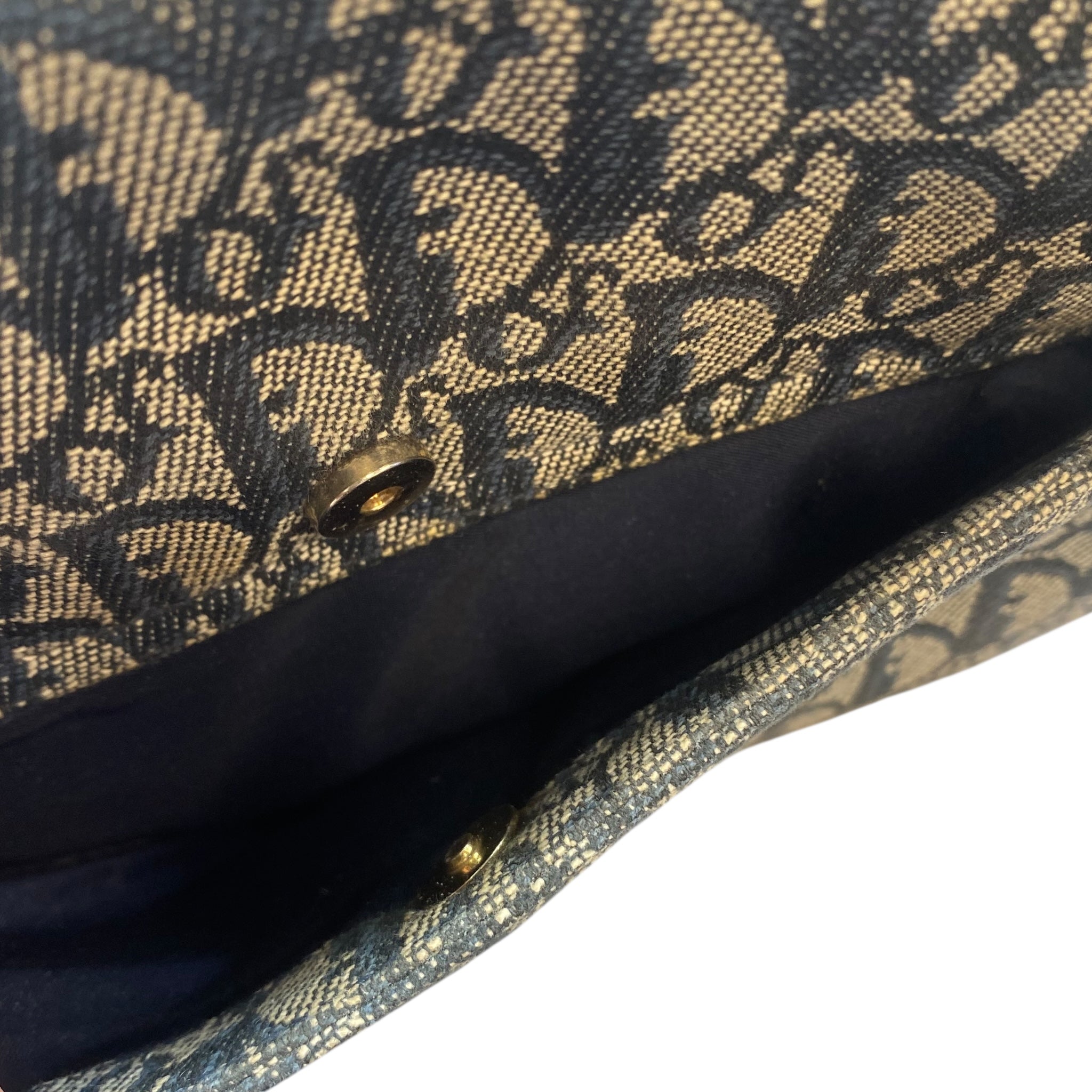 Sac Dior Saddle