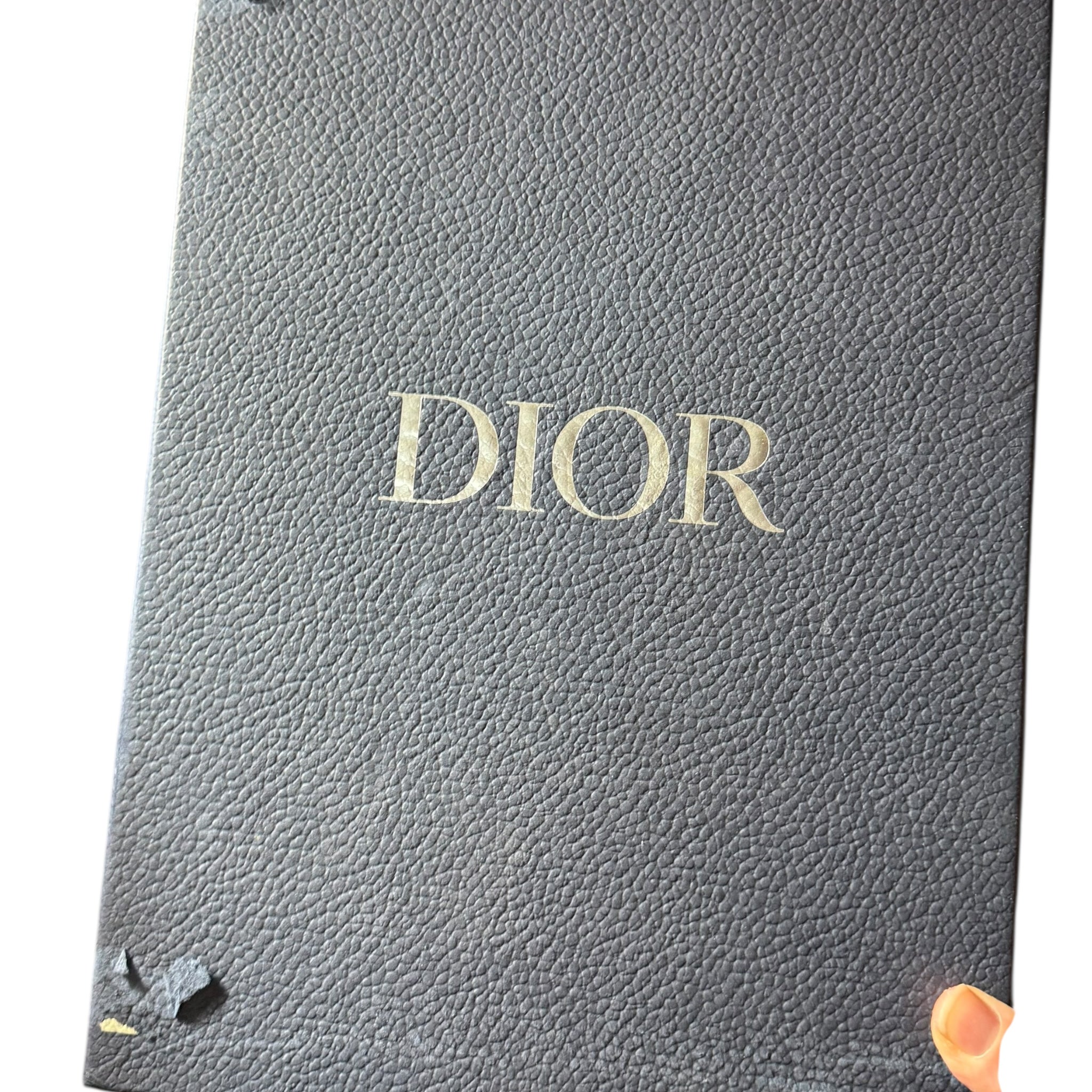 Dior B27 (41EU)