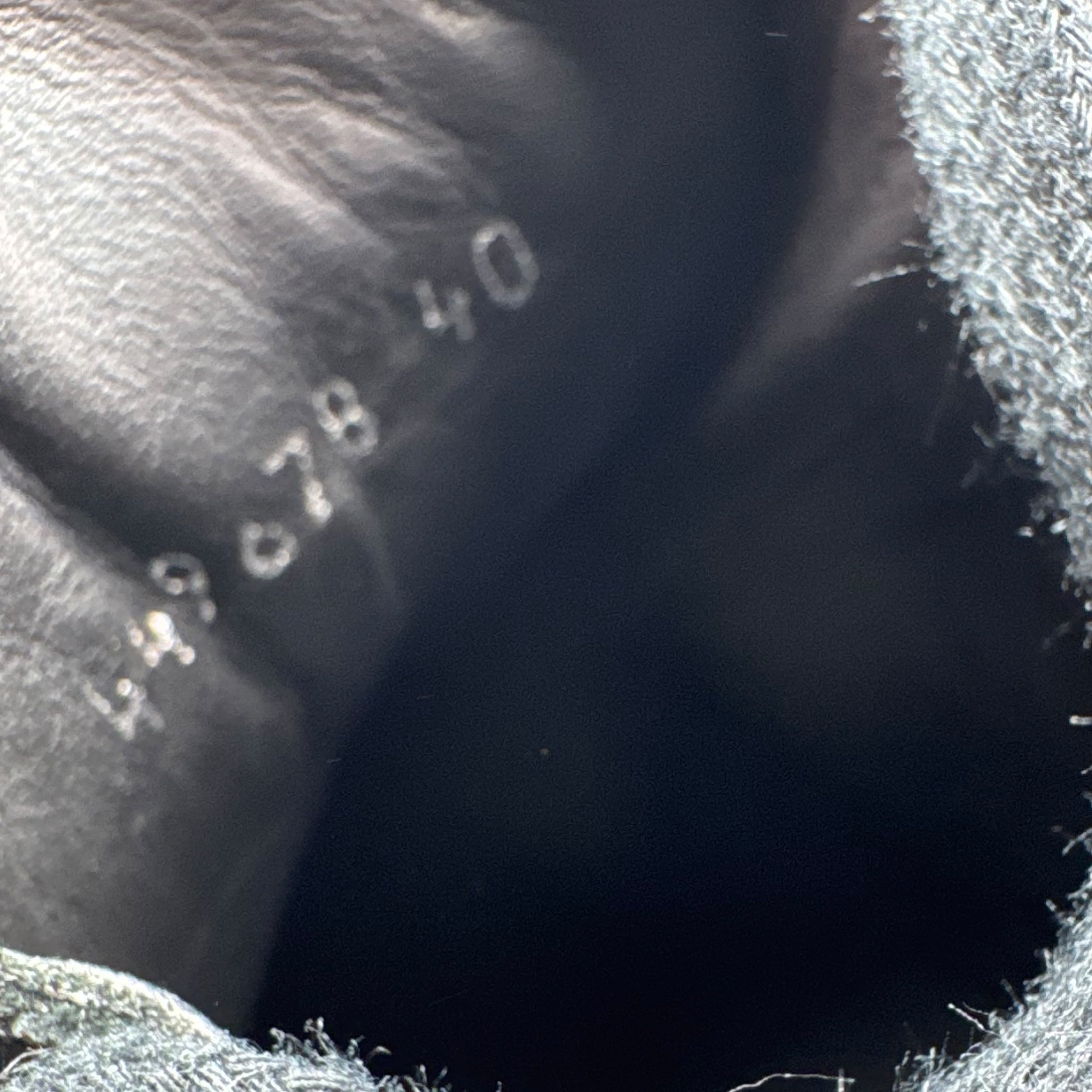 Balenciaga Arena (40EU)