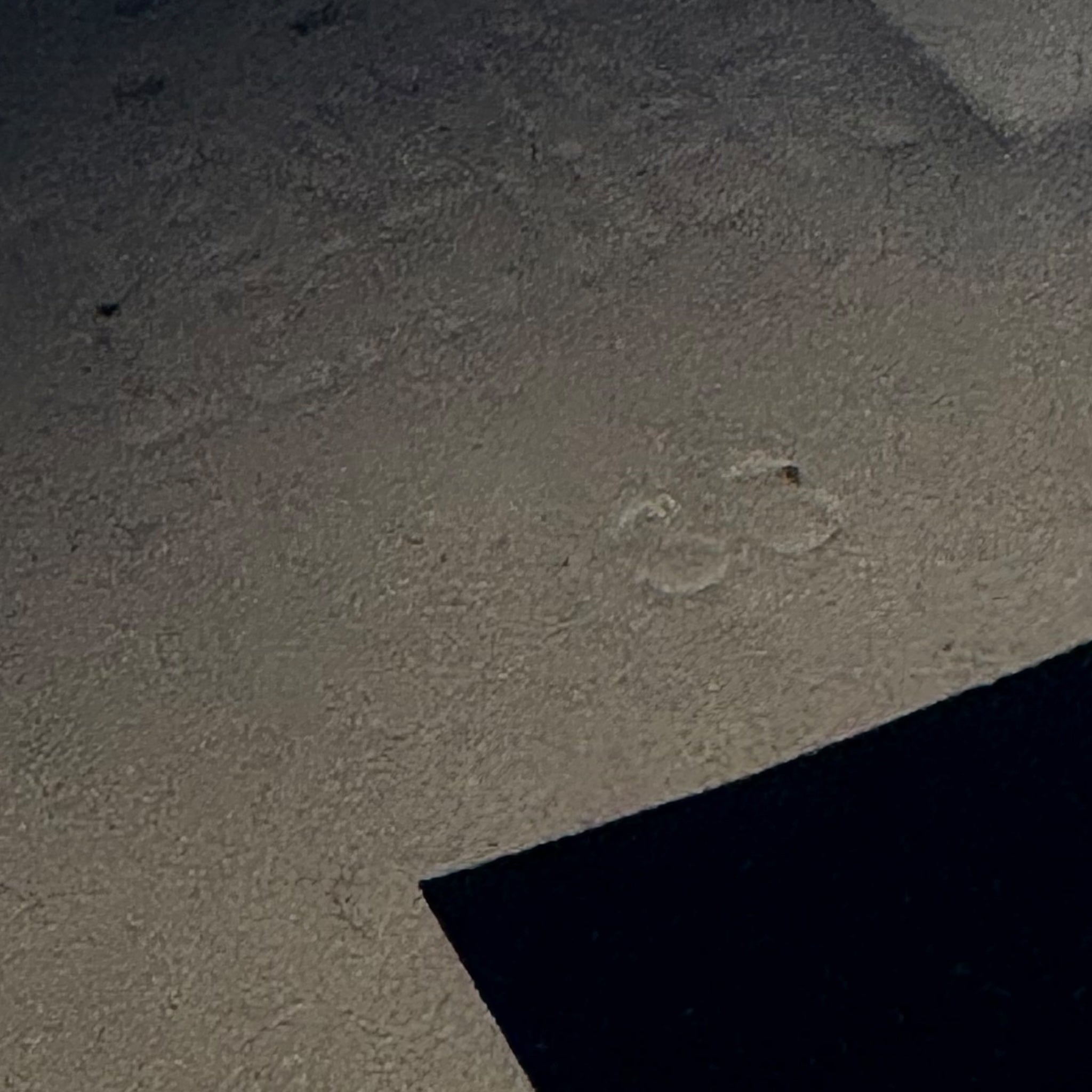 Golden Goose Runner (38EU)