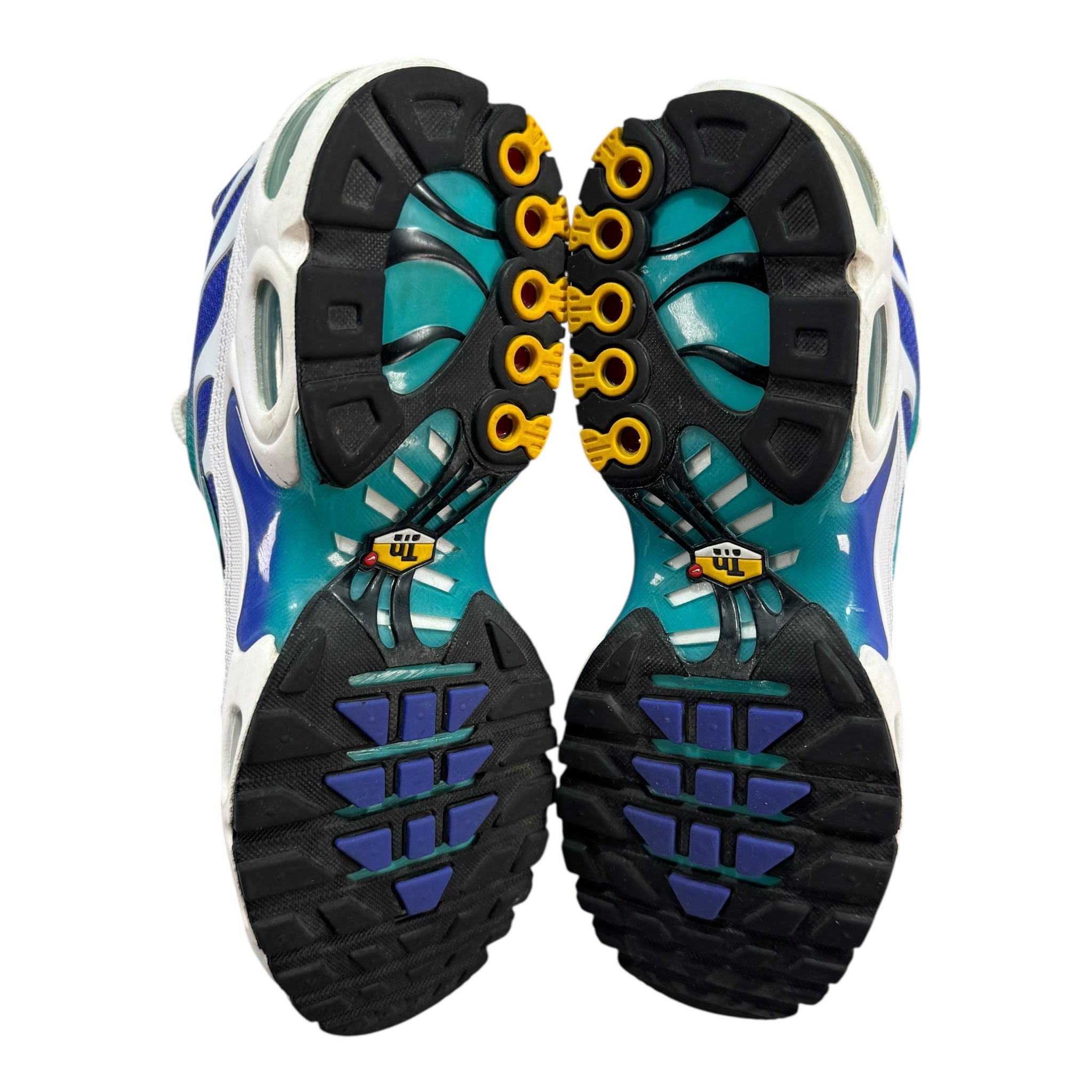 Nike TN (45EU)