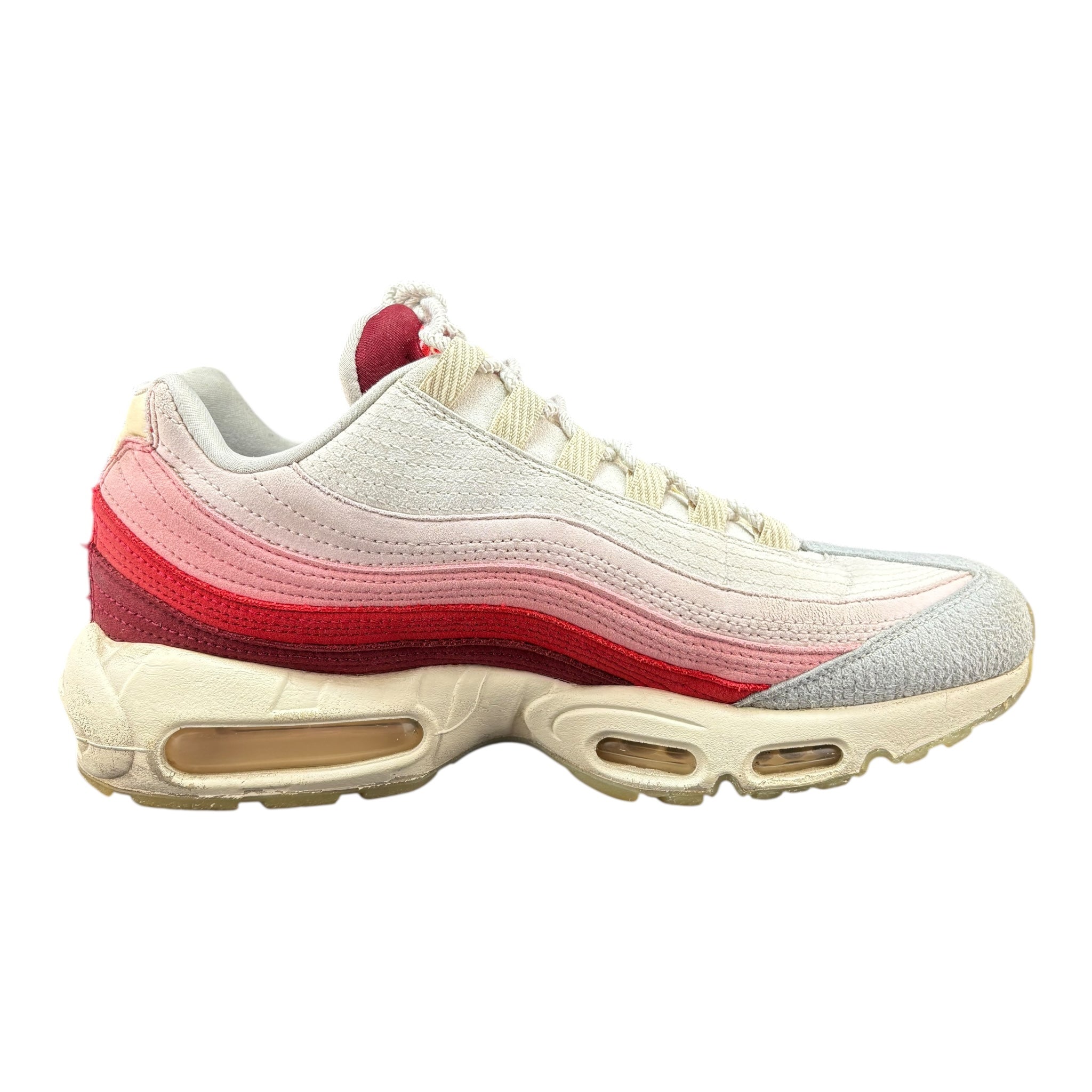 Air Max 95 Anatomy of Air (44.5EU)