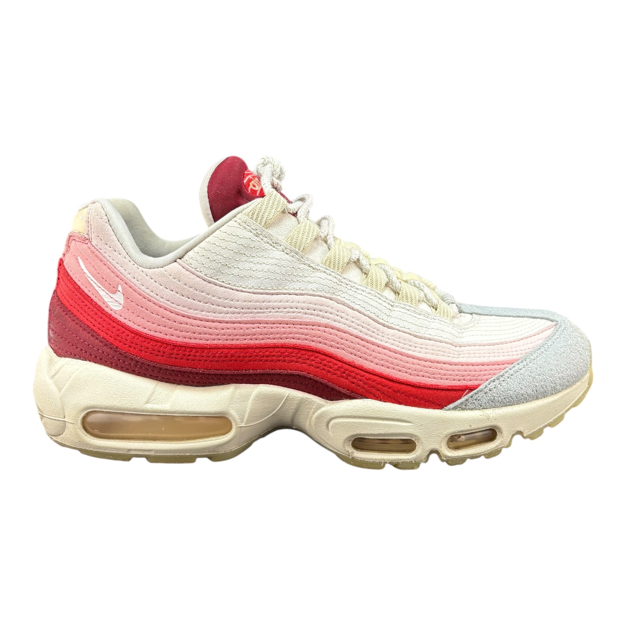 Air Max 95 Anatomy of Air (44.5EU)