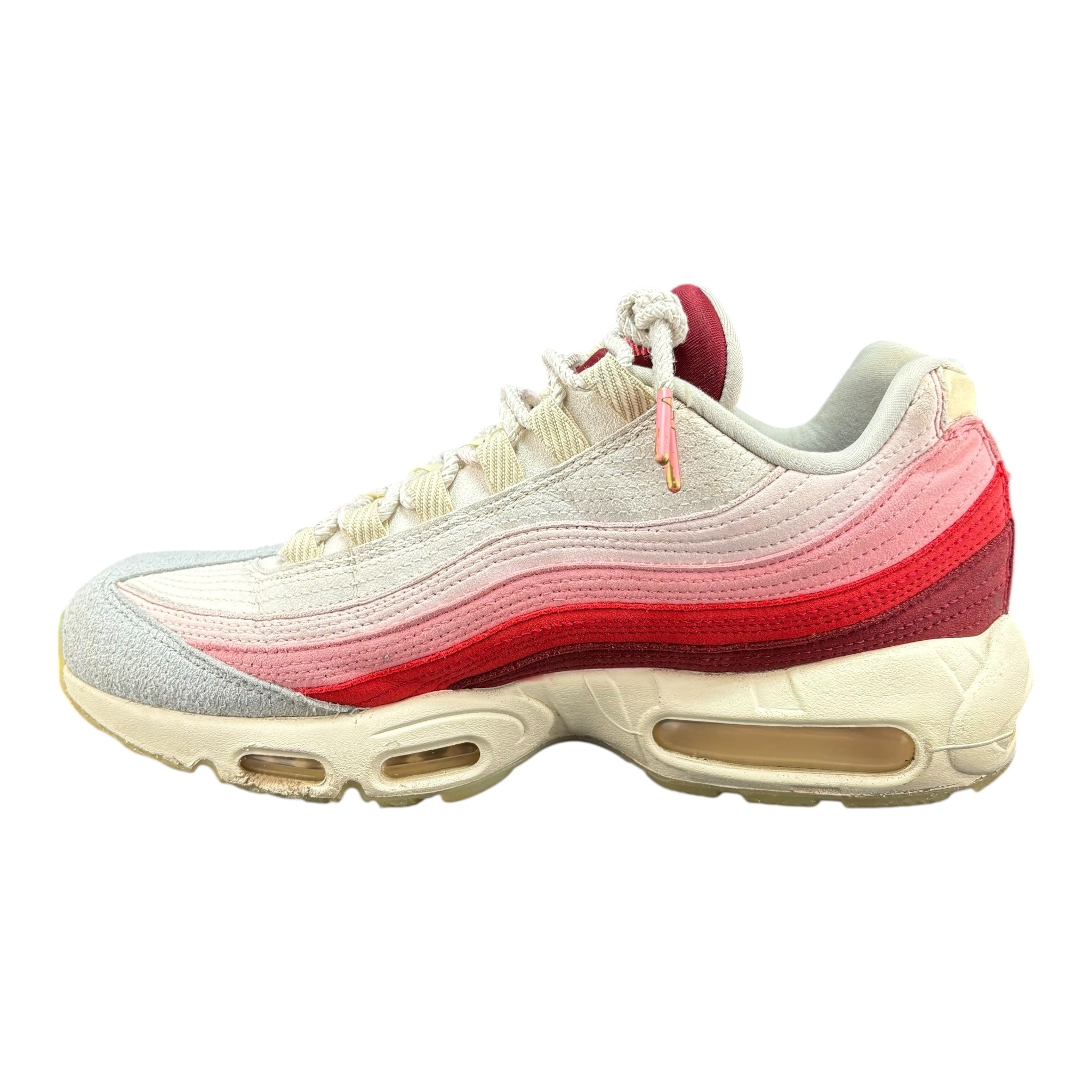 Air Max 95 Anatomy of Air (44.5EU)