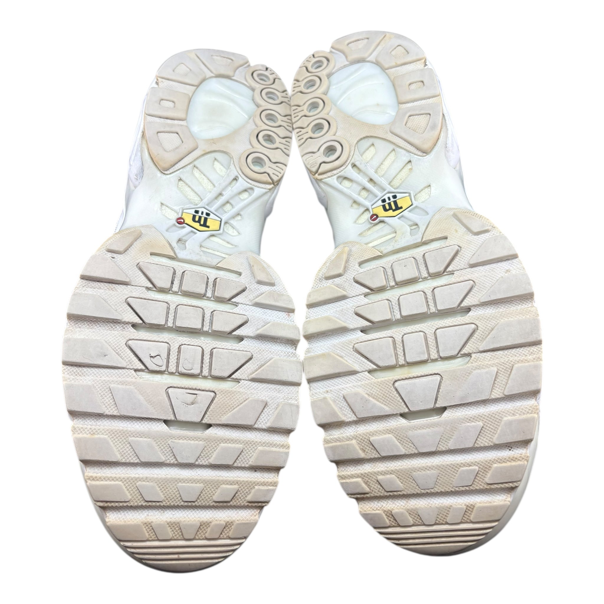 Air max TN Supreme (44EU)