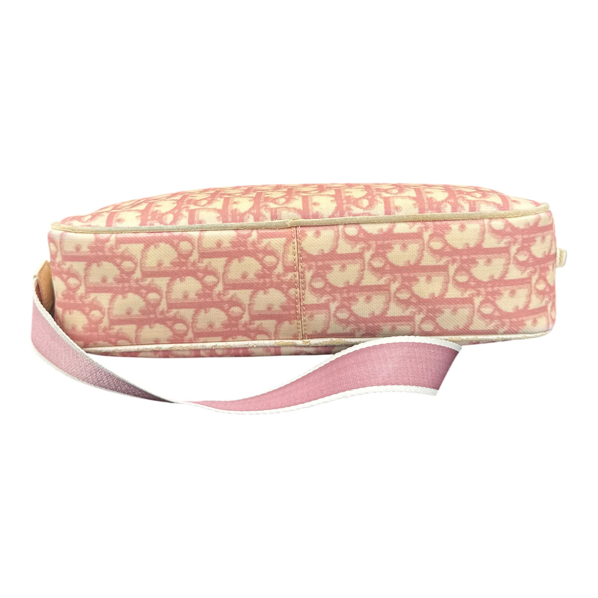 Sacoche Dior