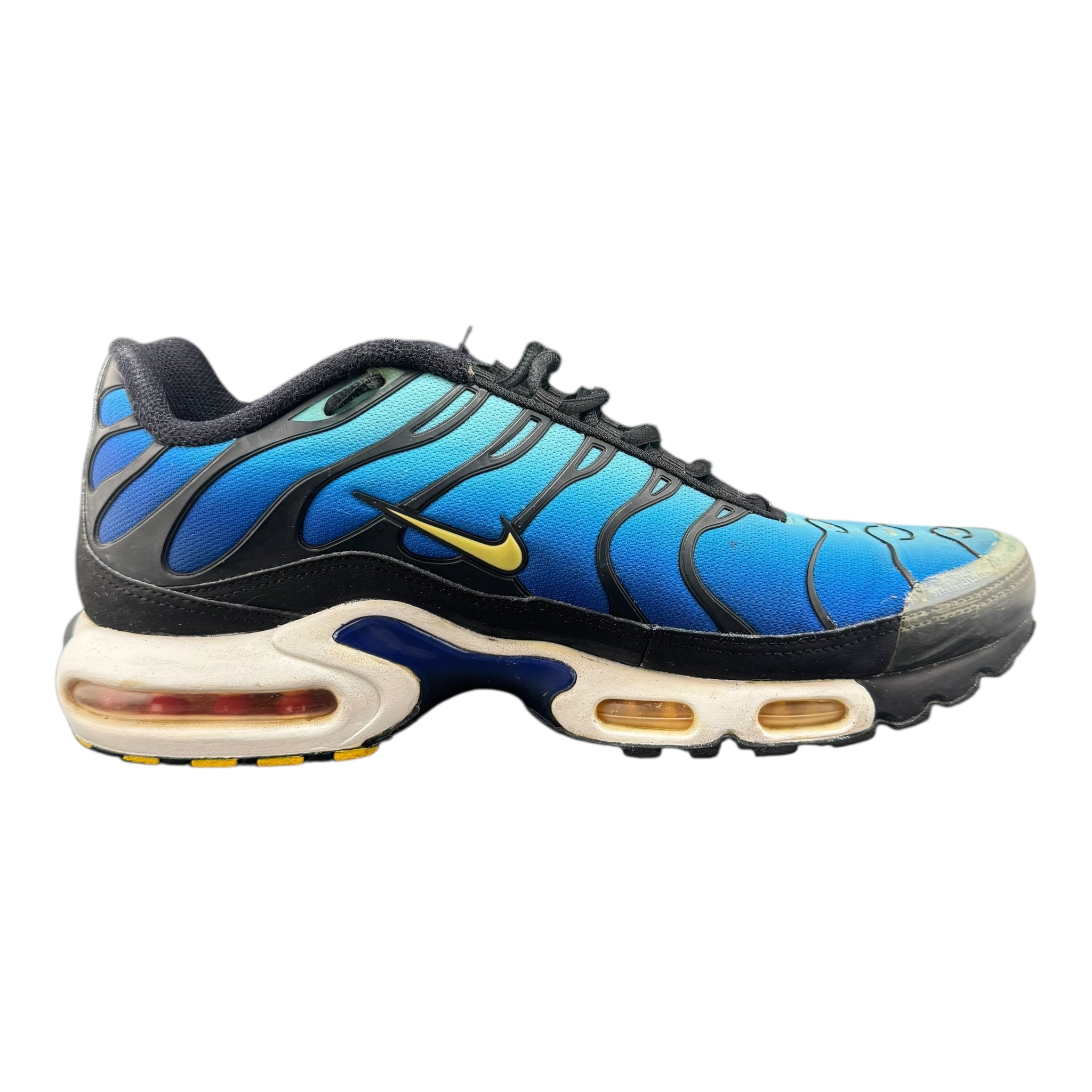 Air Max TN (45EU)