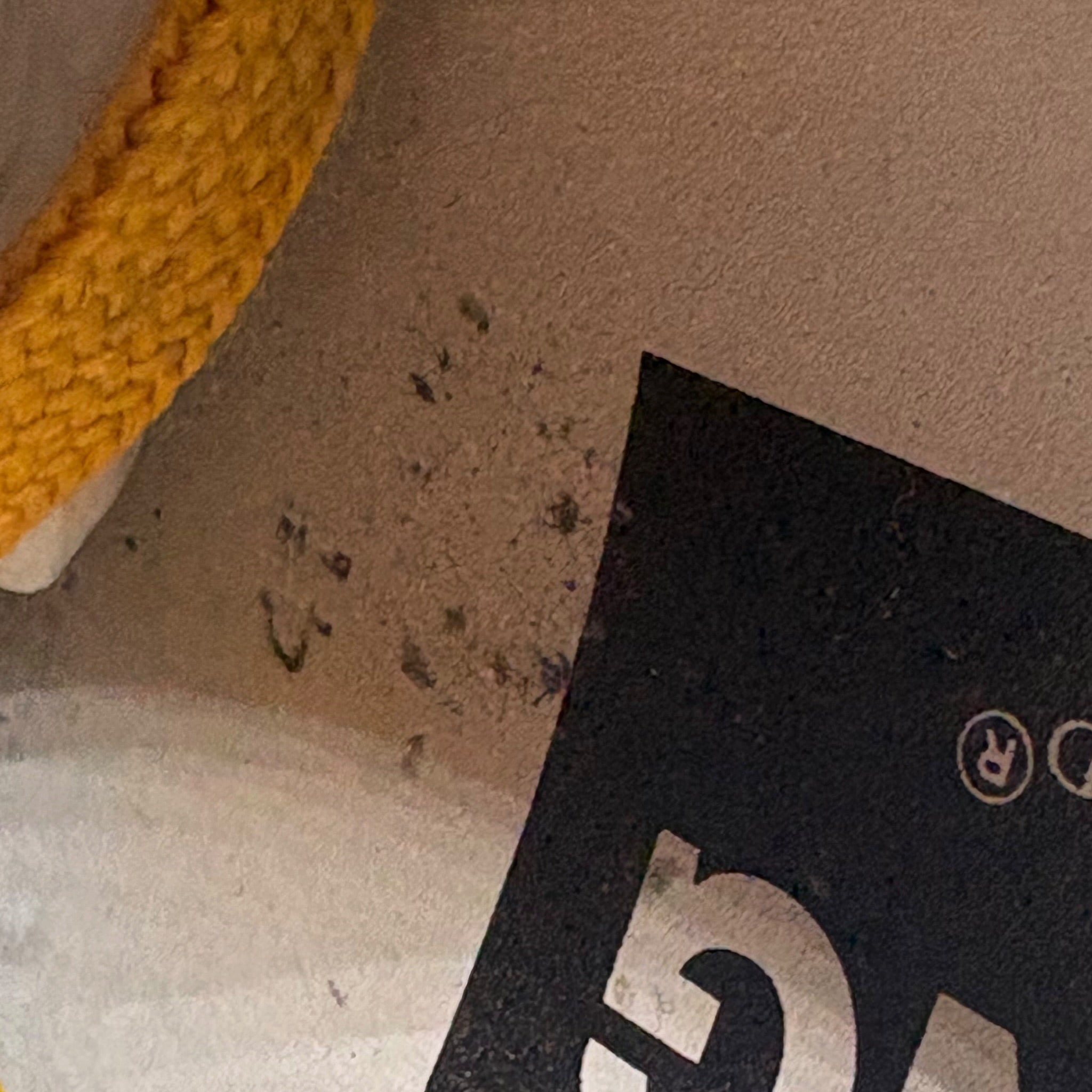 Golden Goose Running (41EU)