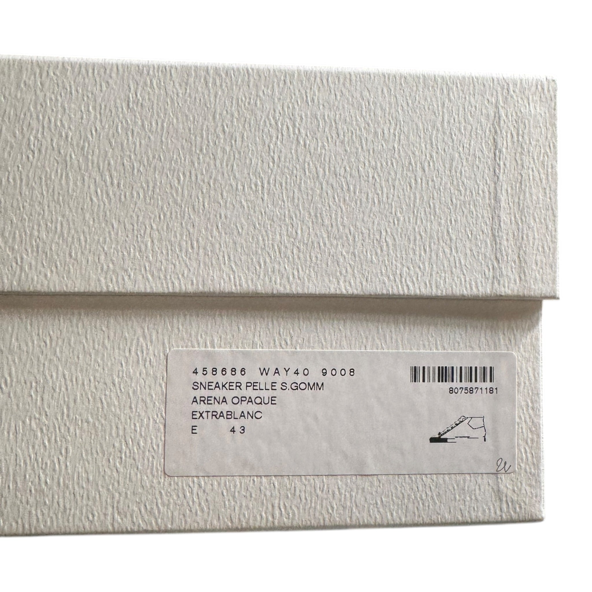 Balenciaga Arena High DS (43EU)