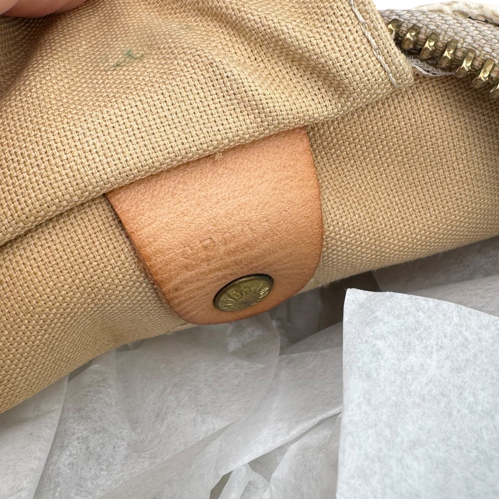 Louis Vuitton Speedy 35