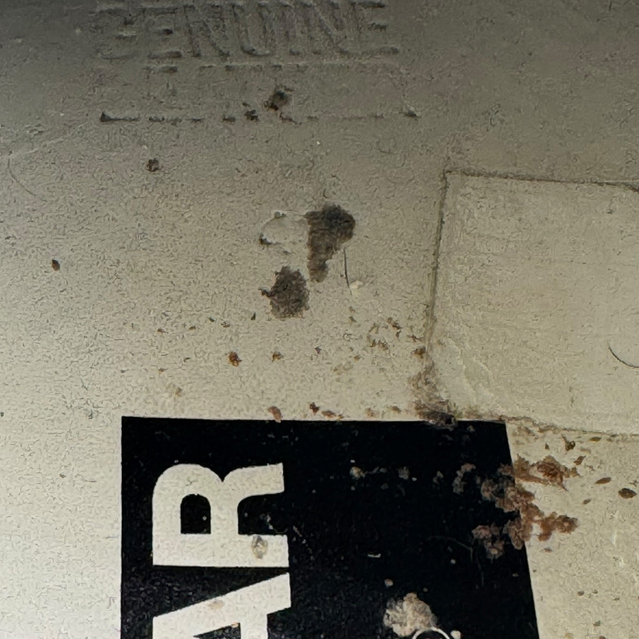 Golden Goose SuperStar (43EU)