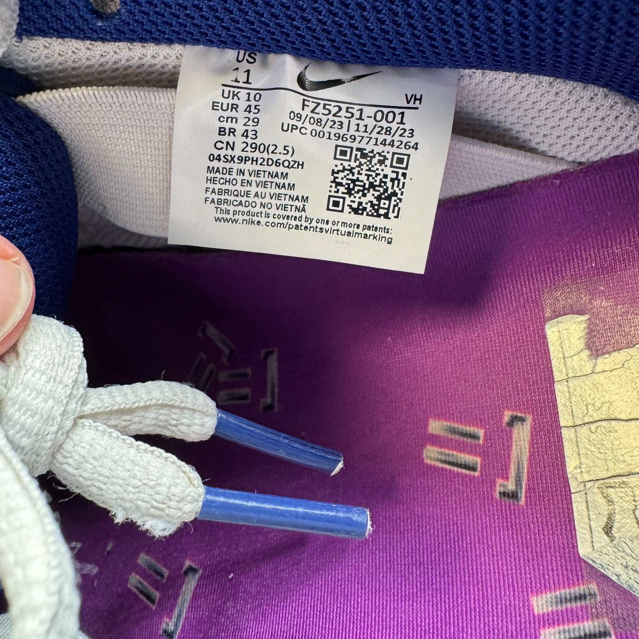 Dunk SB Low (45EU)