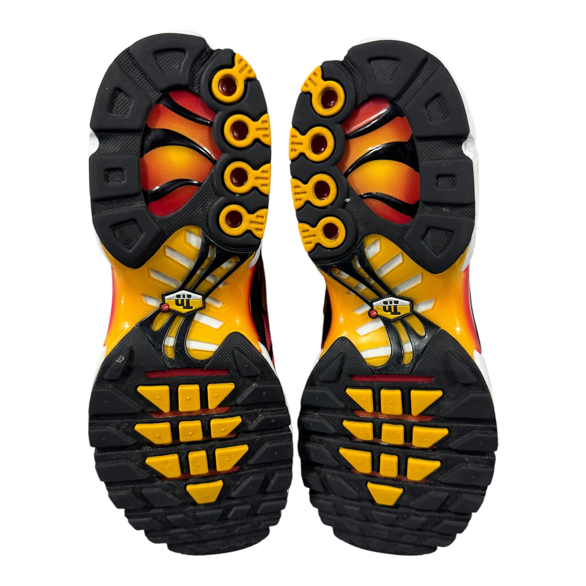 Nike TN Gradiant (44EU)