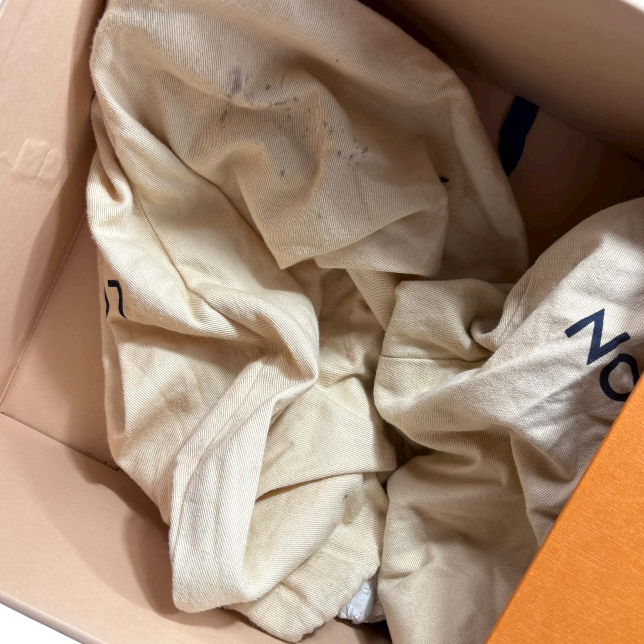 Trainer Louis Vuitton (6)