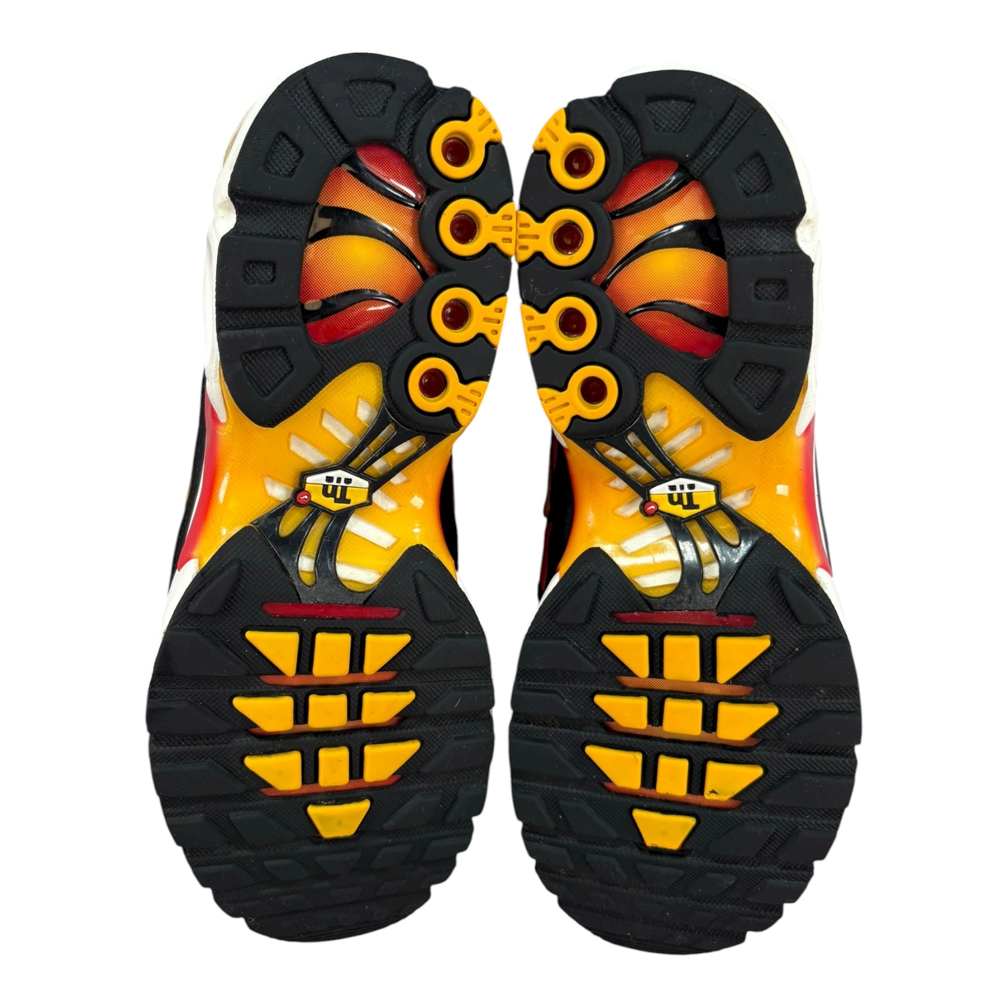 TN Gold Raspberry (41EU)