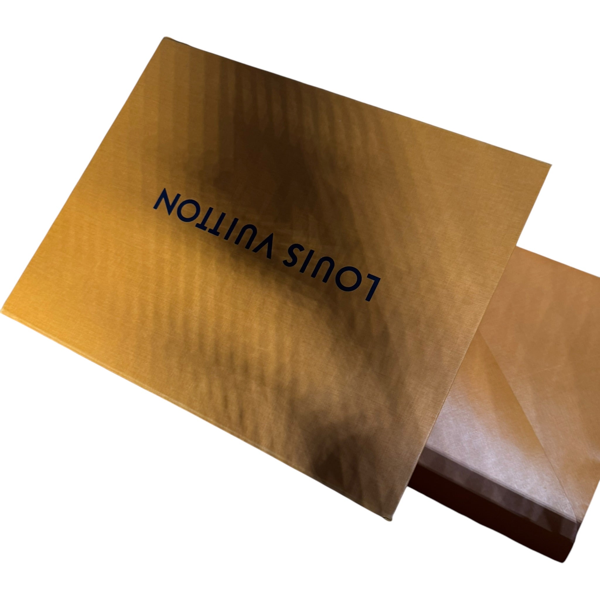 Louis Vuitton Traîner (44.5EU)