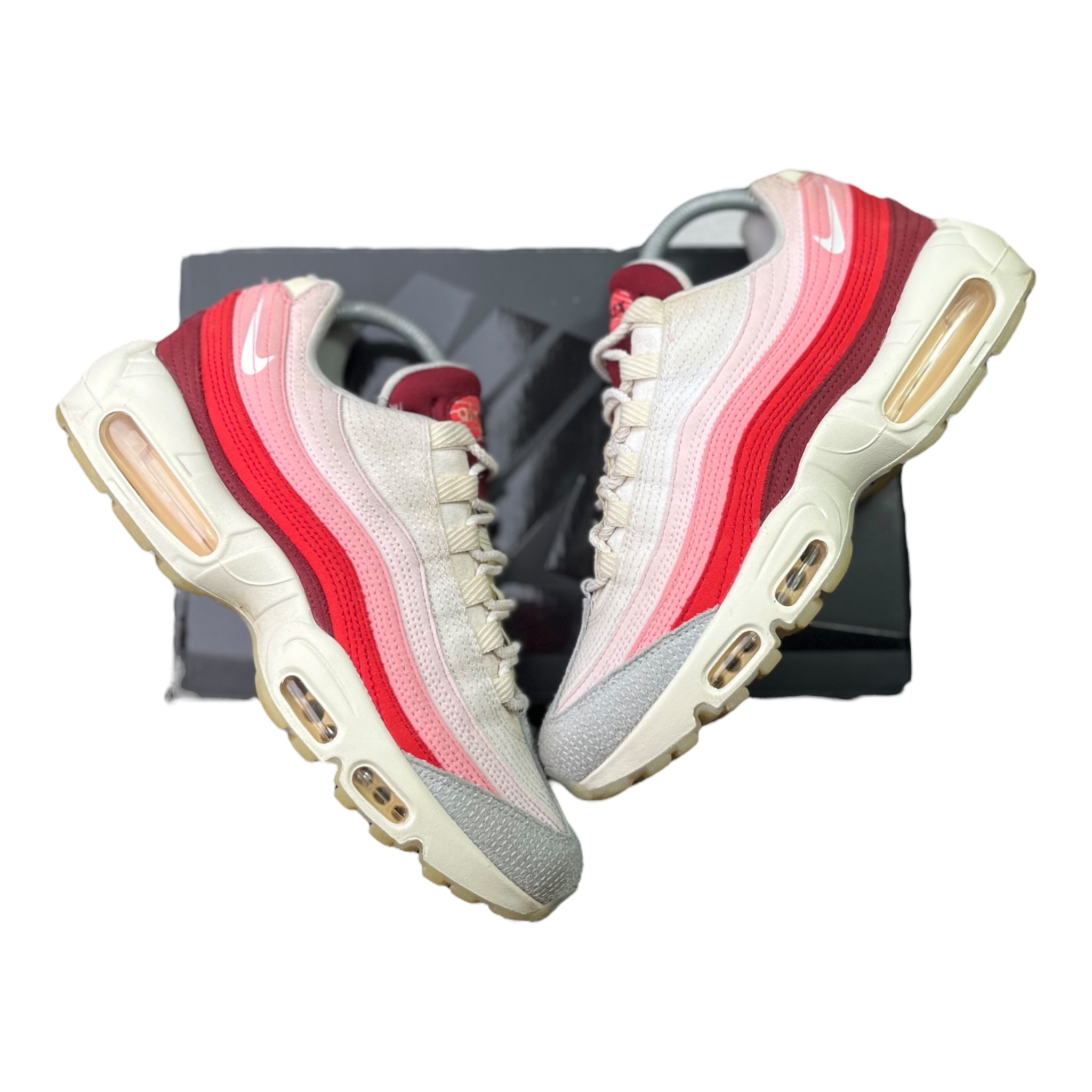 Nike Air Max 95 Anatomy Of Air (41EU)
