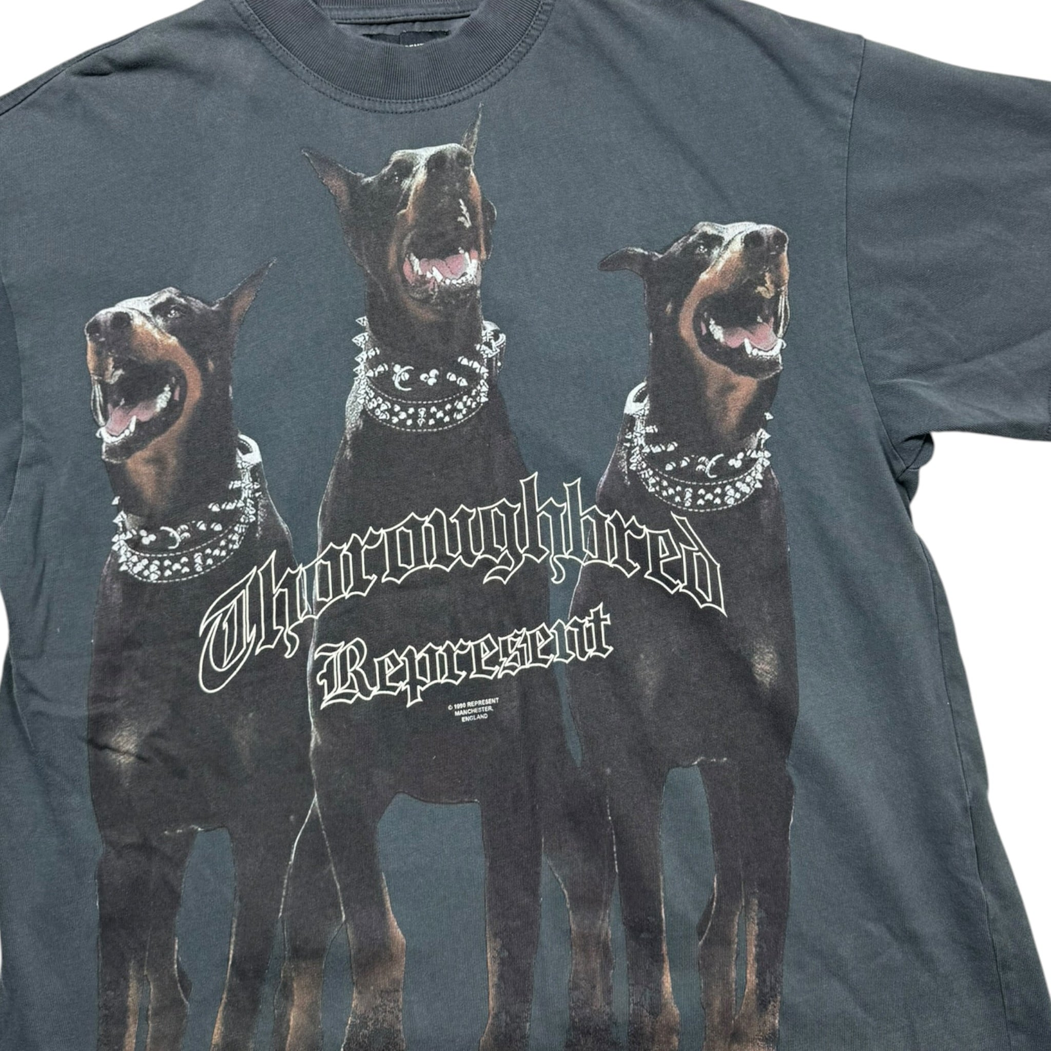 T-shirt Represent (S)