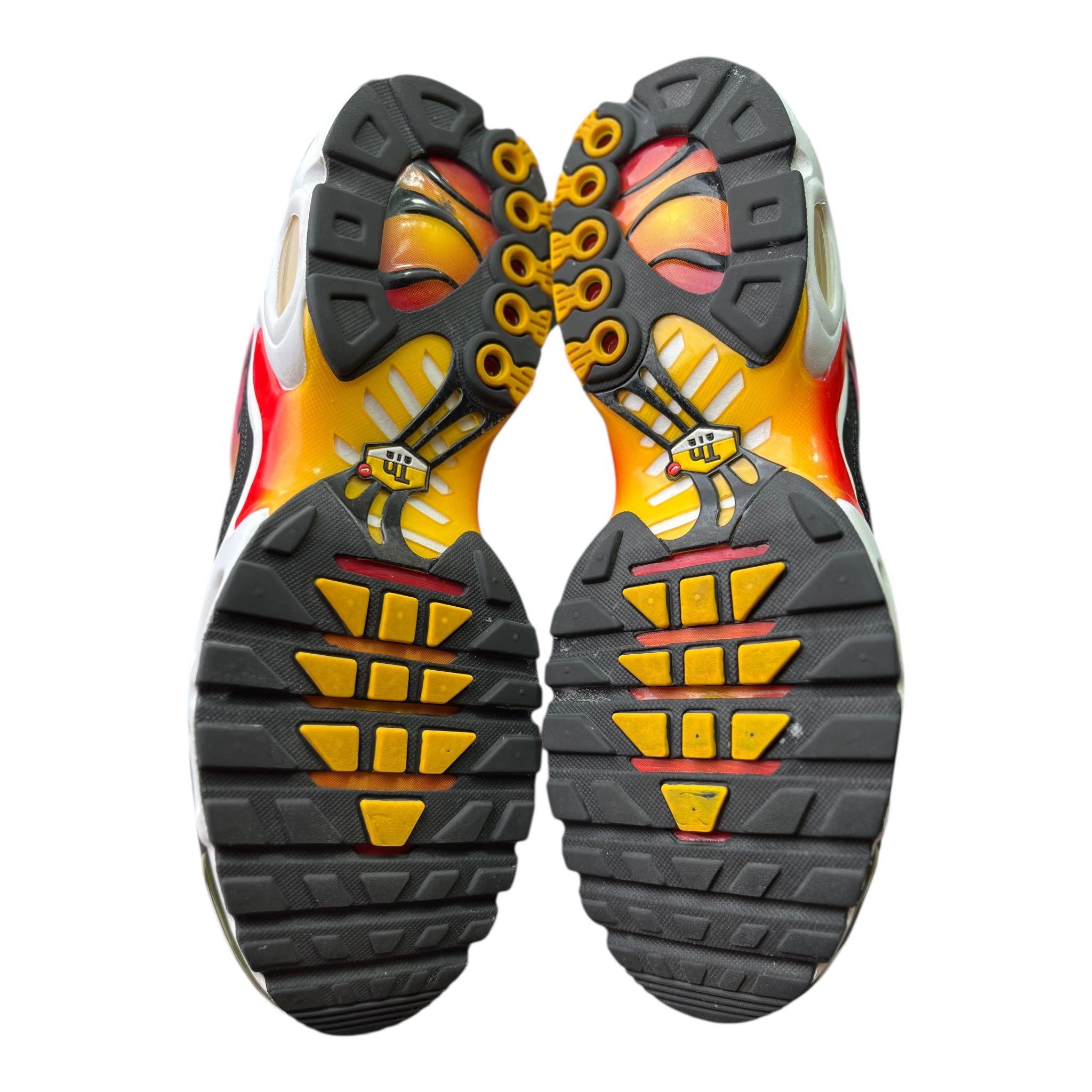 Nike Air Max Plus Tn Yellow Pink Gradient (45EU)