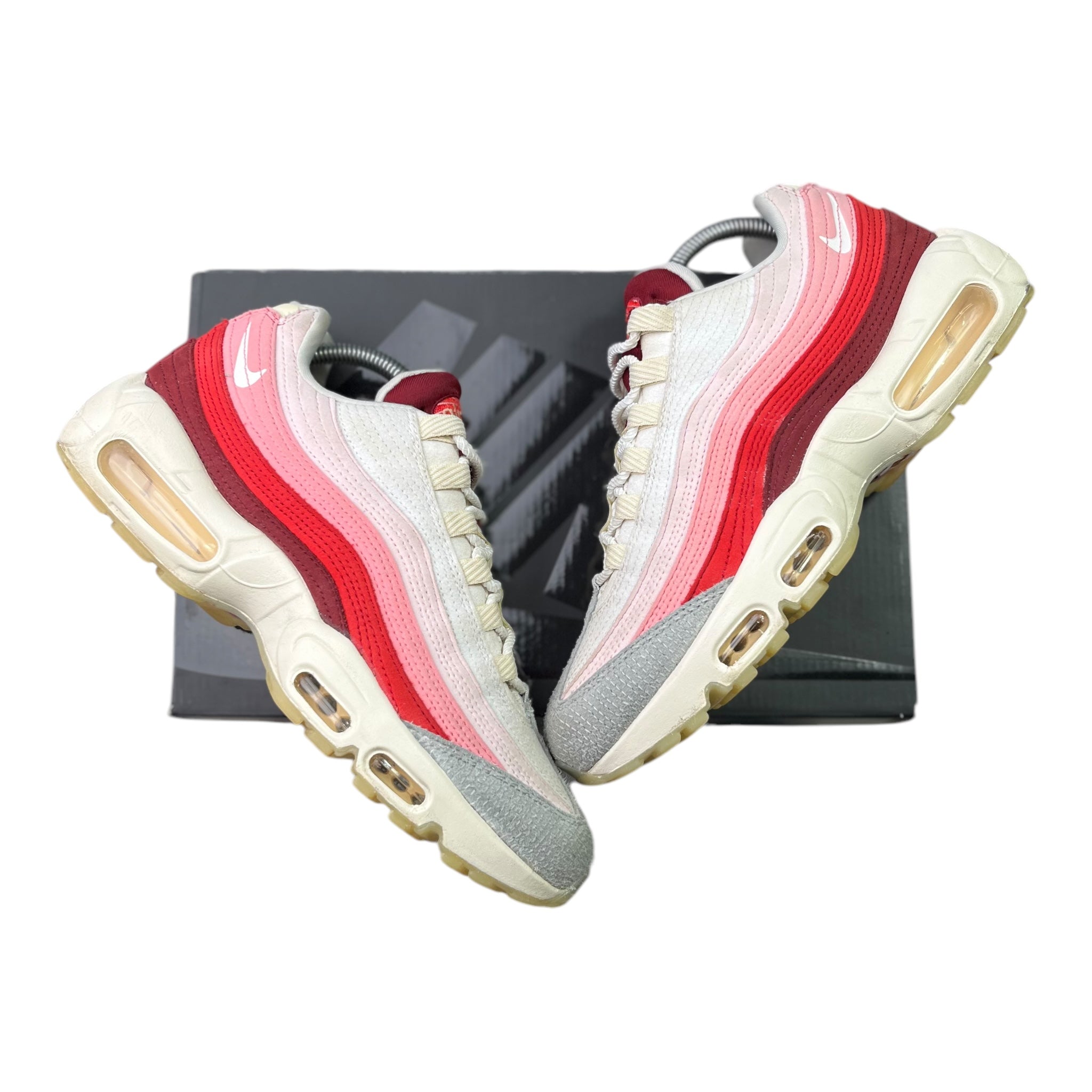 Nike Air Max 95 Anatomy Of Air (40.5EU)