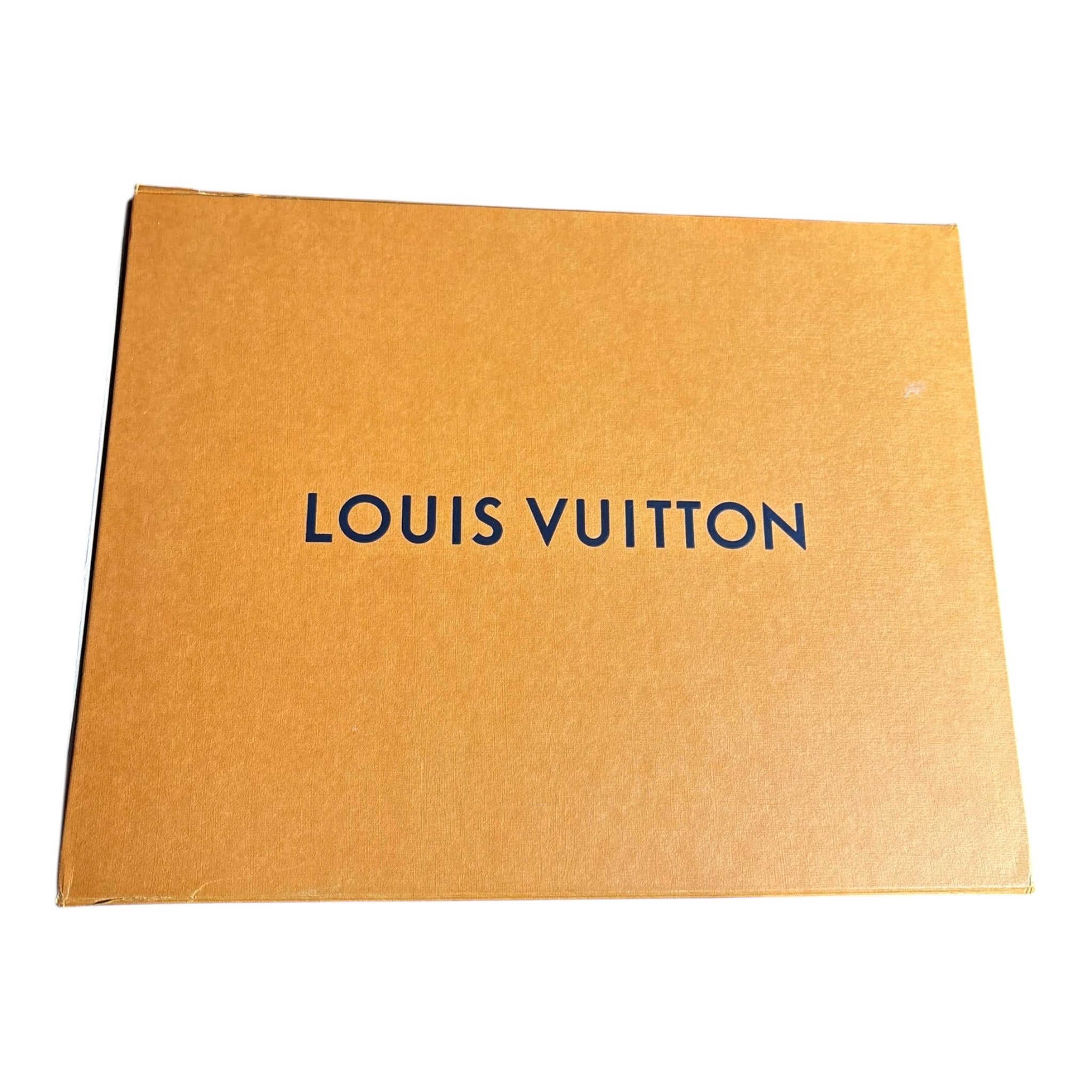 Louis Vuitton Trainer (7)