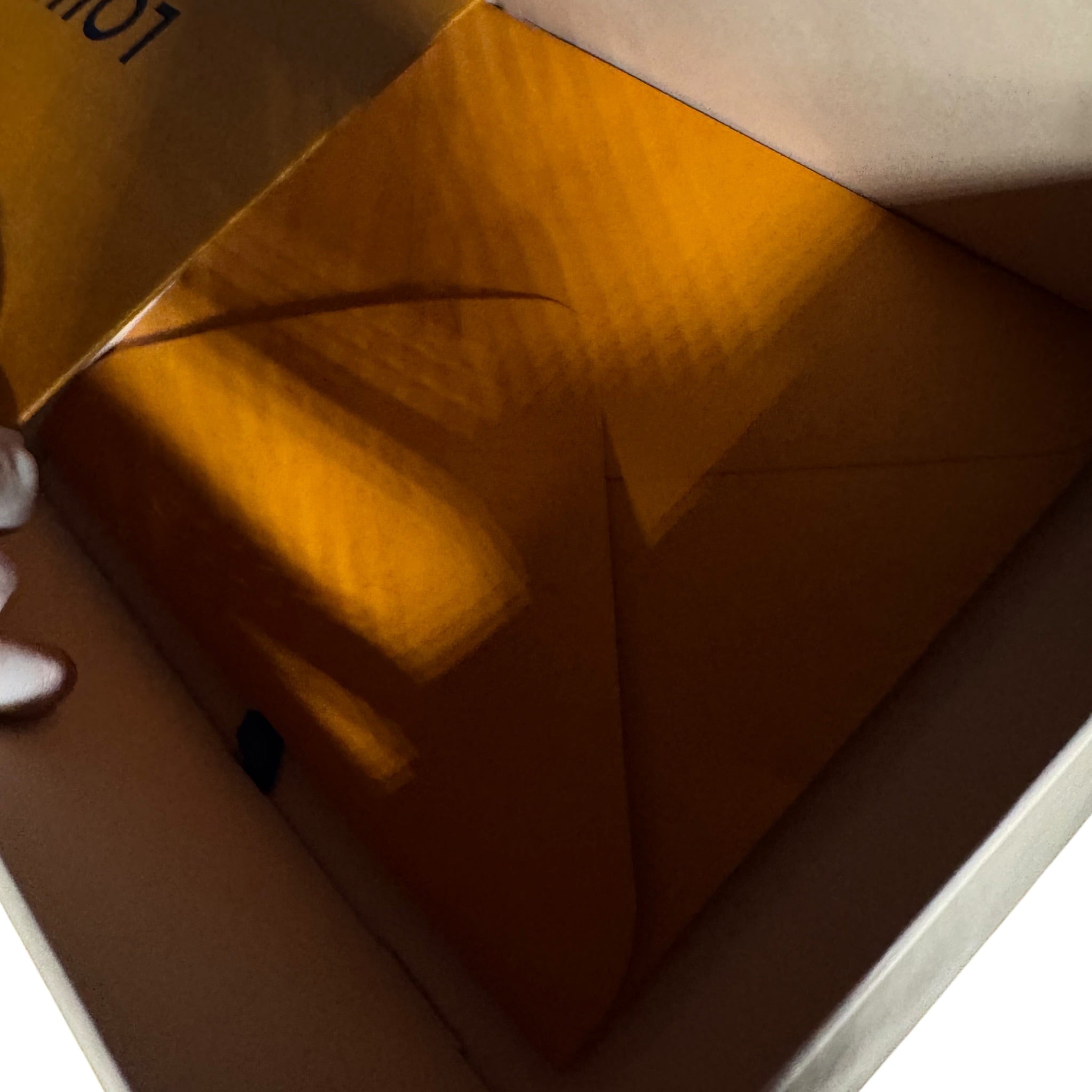 Louis Vuitton Traîner (44.5EU)