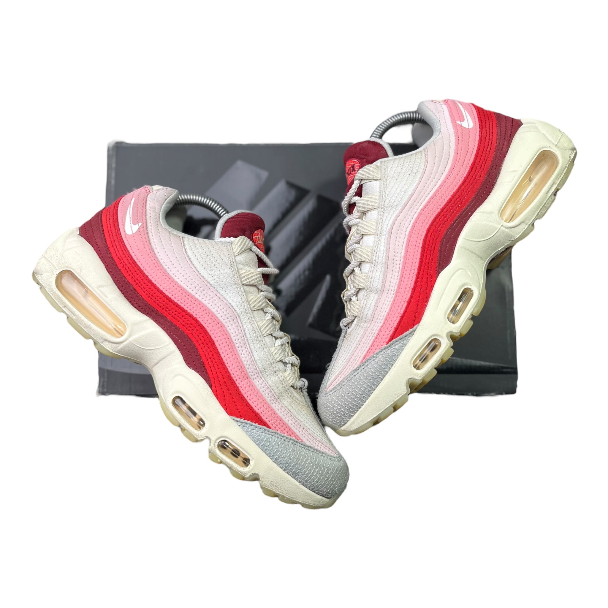 Nike Air Max 95 Anatomy Of Air (40EU)