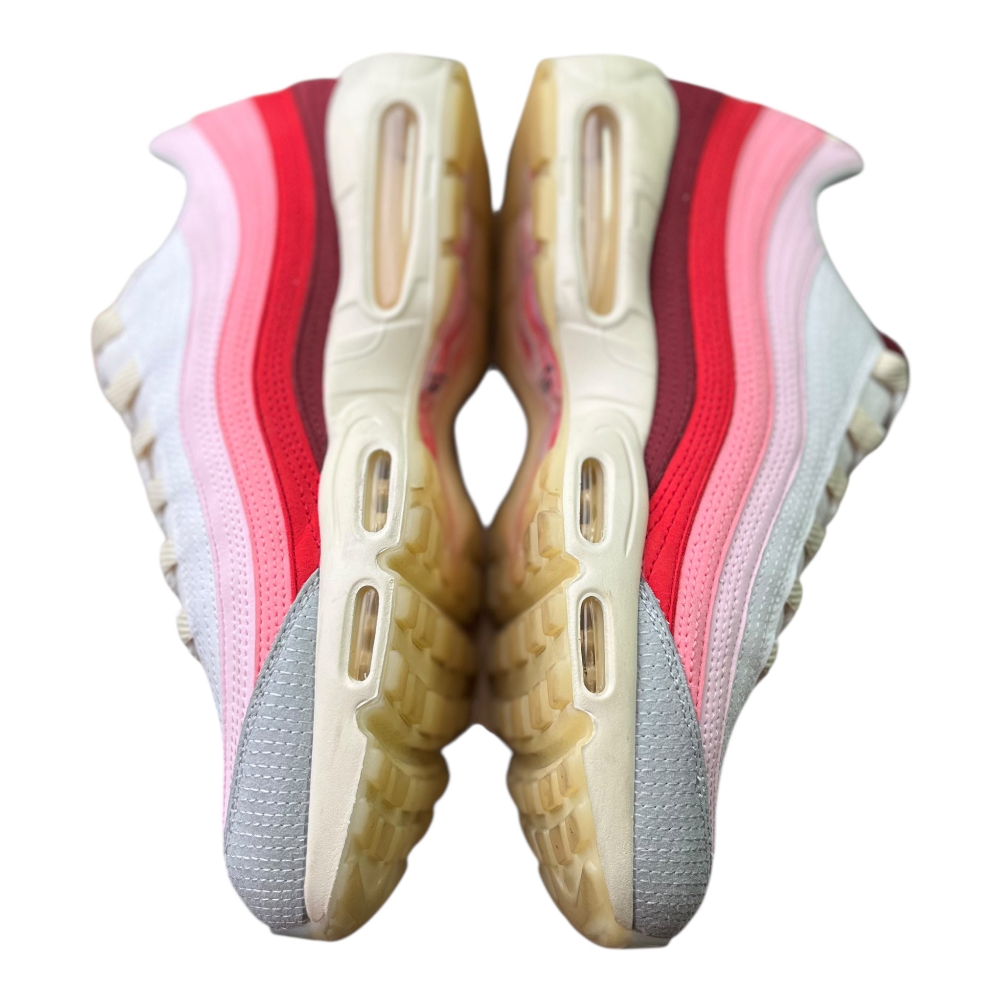 Nike Air Max 95 Anatomy Of Air (47.5EU)