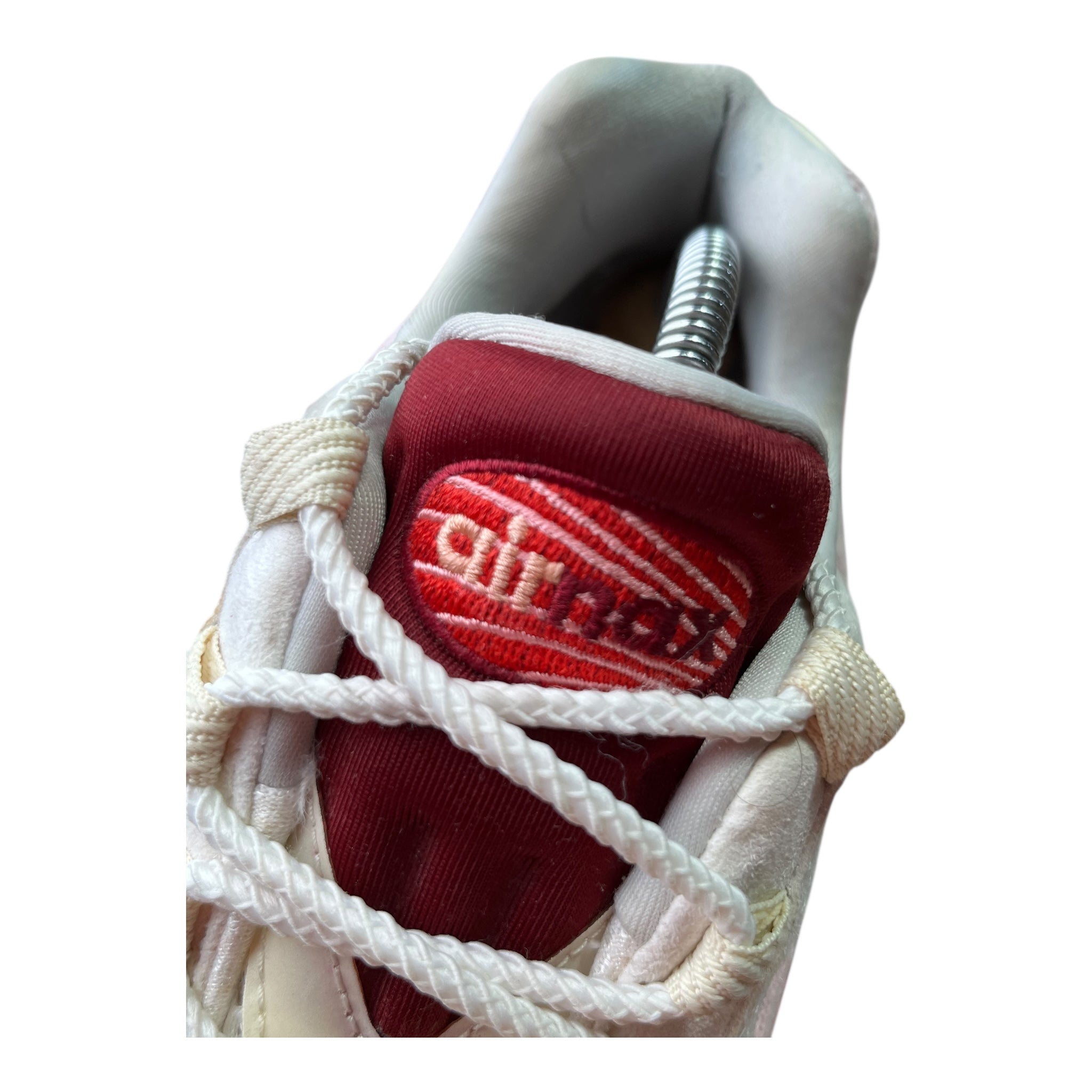 Nike Air Max 95 Anatomy Of Air (45.5EU)