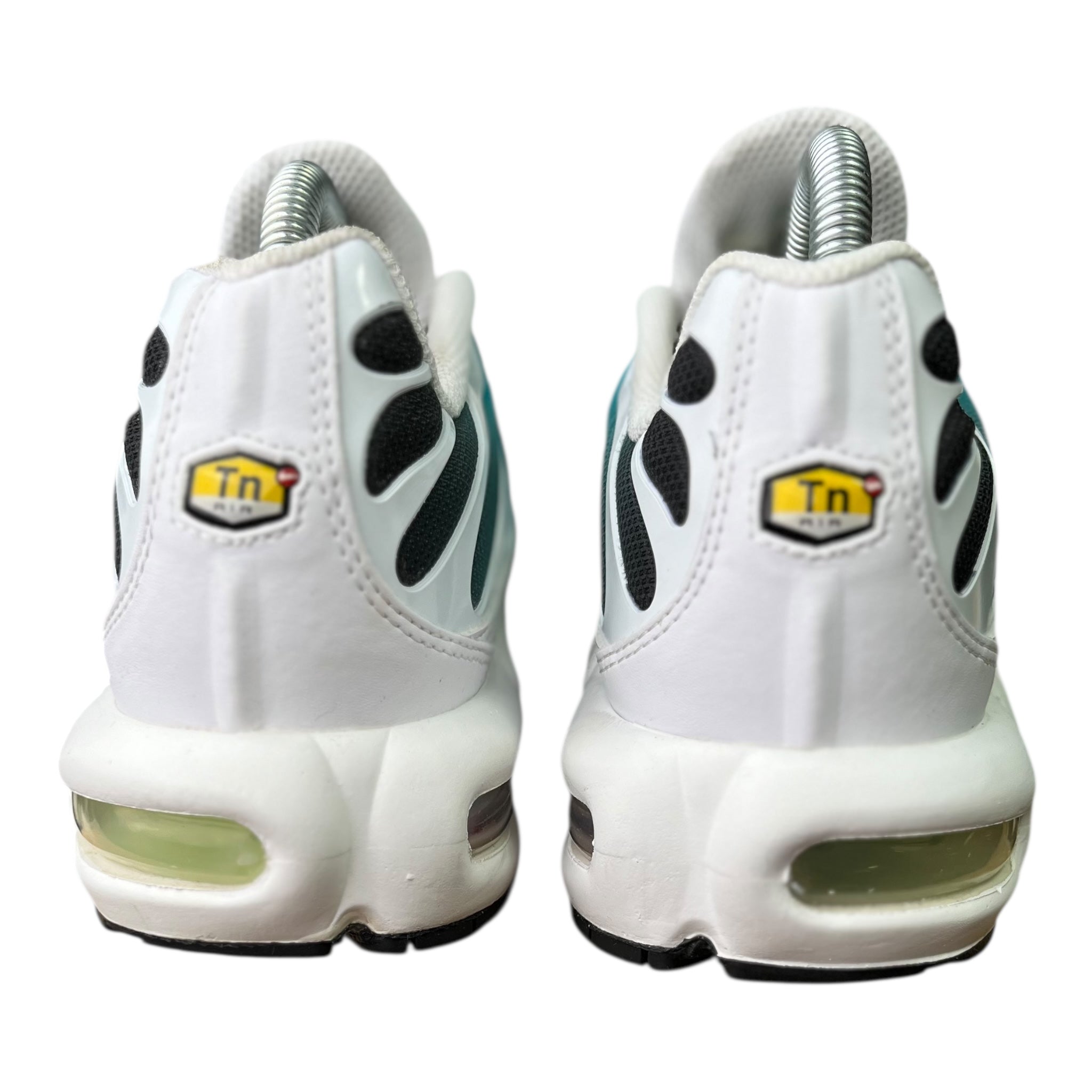 Nike Air Max Plus Tn Dusty Cactus  (41EU)