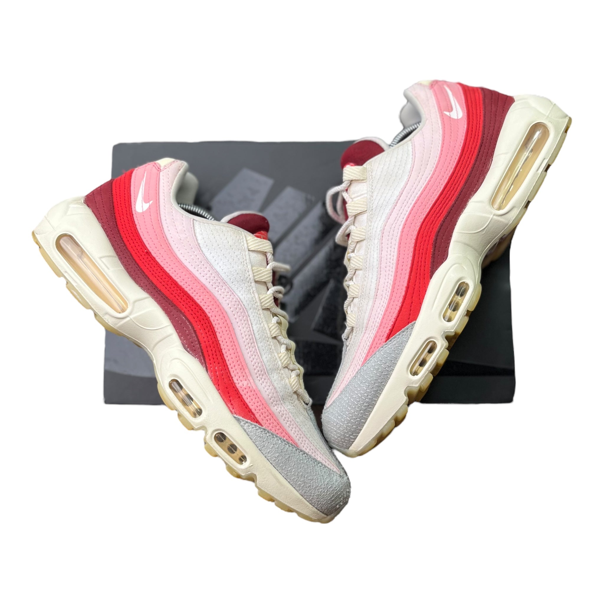 Nike Air Max 95 Anatomy Of Air (47.5EU)