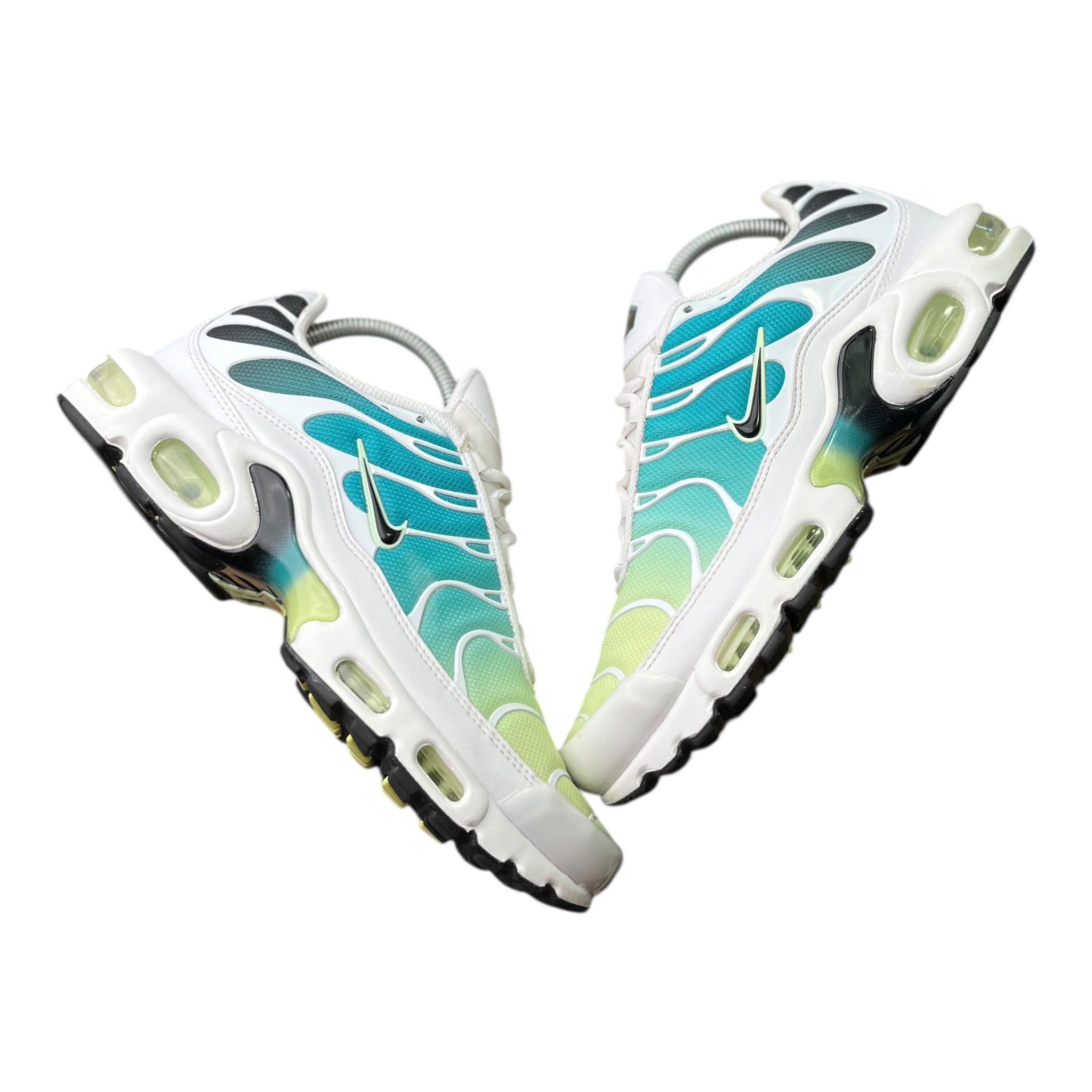 Nike Air Max Plus Tn Dusty Cactus  (41EU)