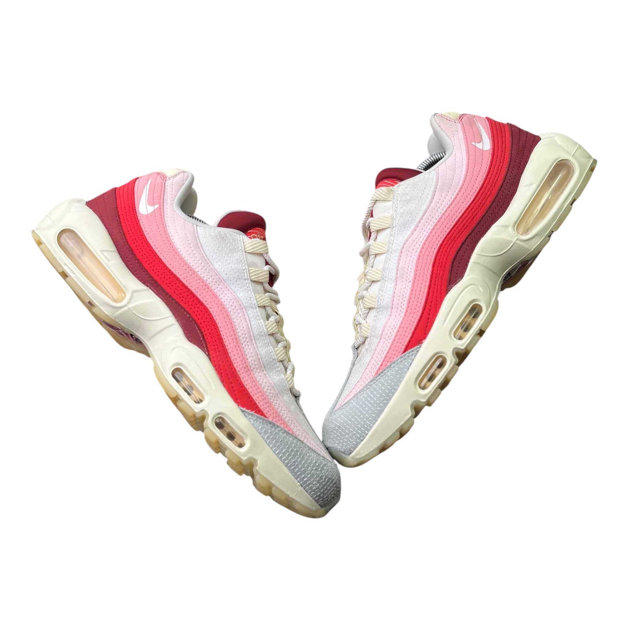 Nike Air Max 95 Anatomy Of Air (46EU)
