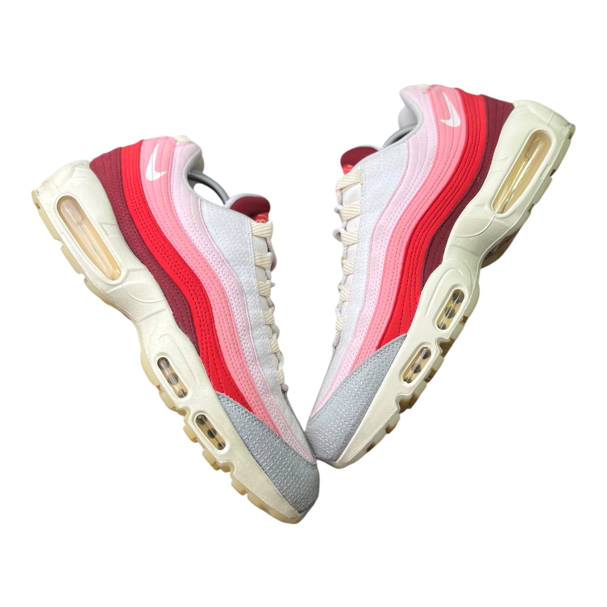 Nike Air Max 95 Anatomy Of Air (47EU)