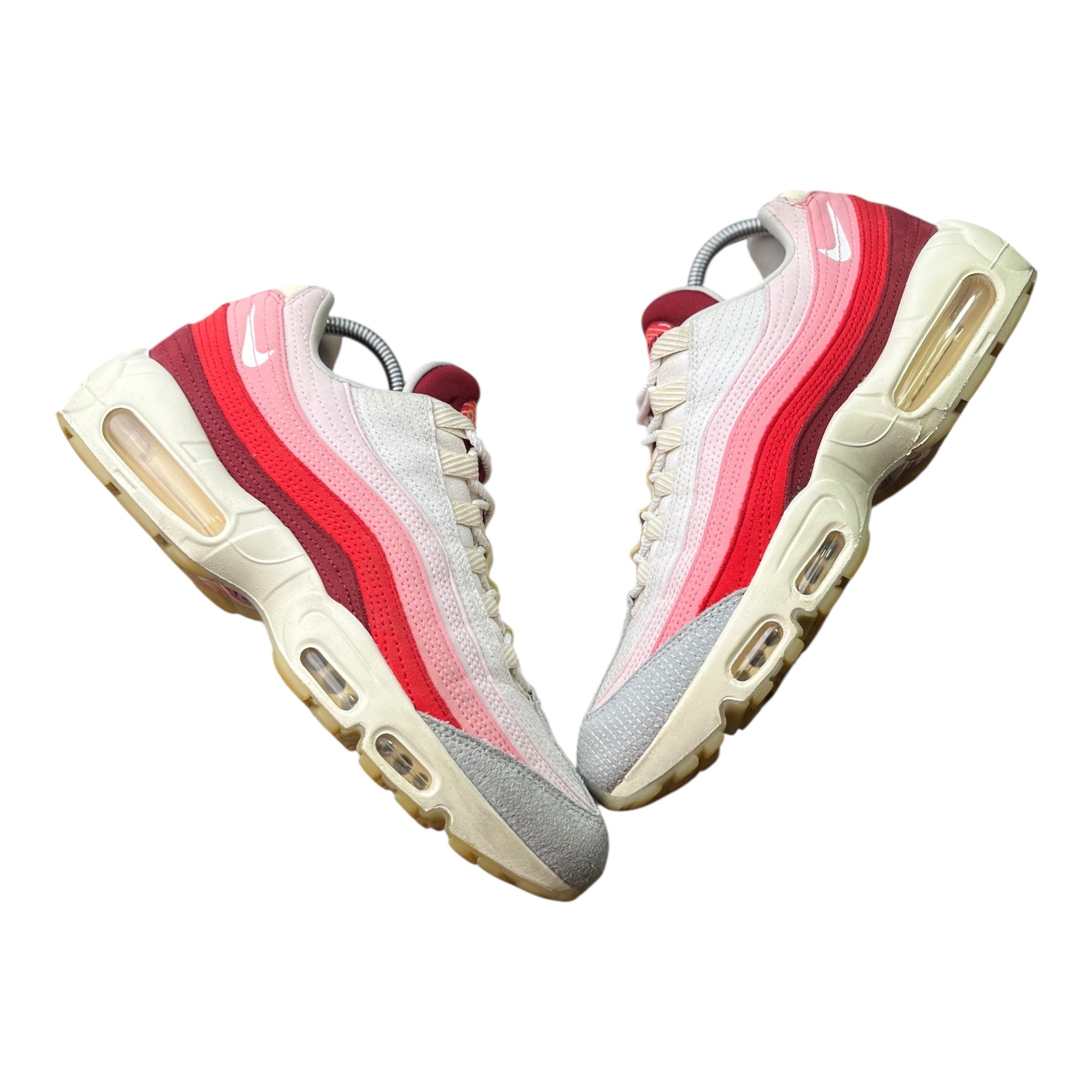 Nike Air Max 95 Anatomy Of Air (42.5EU)