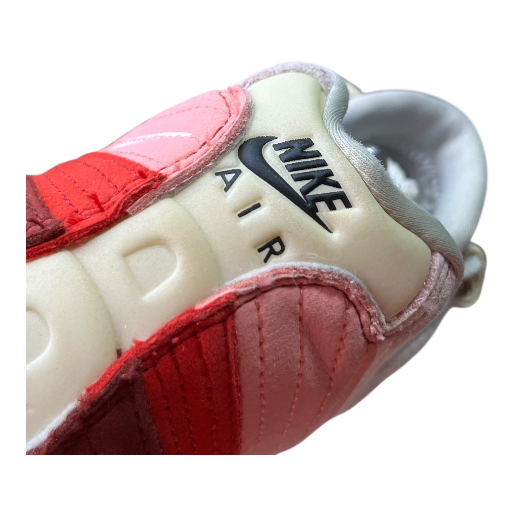 Nike Air Max 95 Anatomy Of Air (45.5EU)