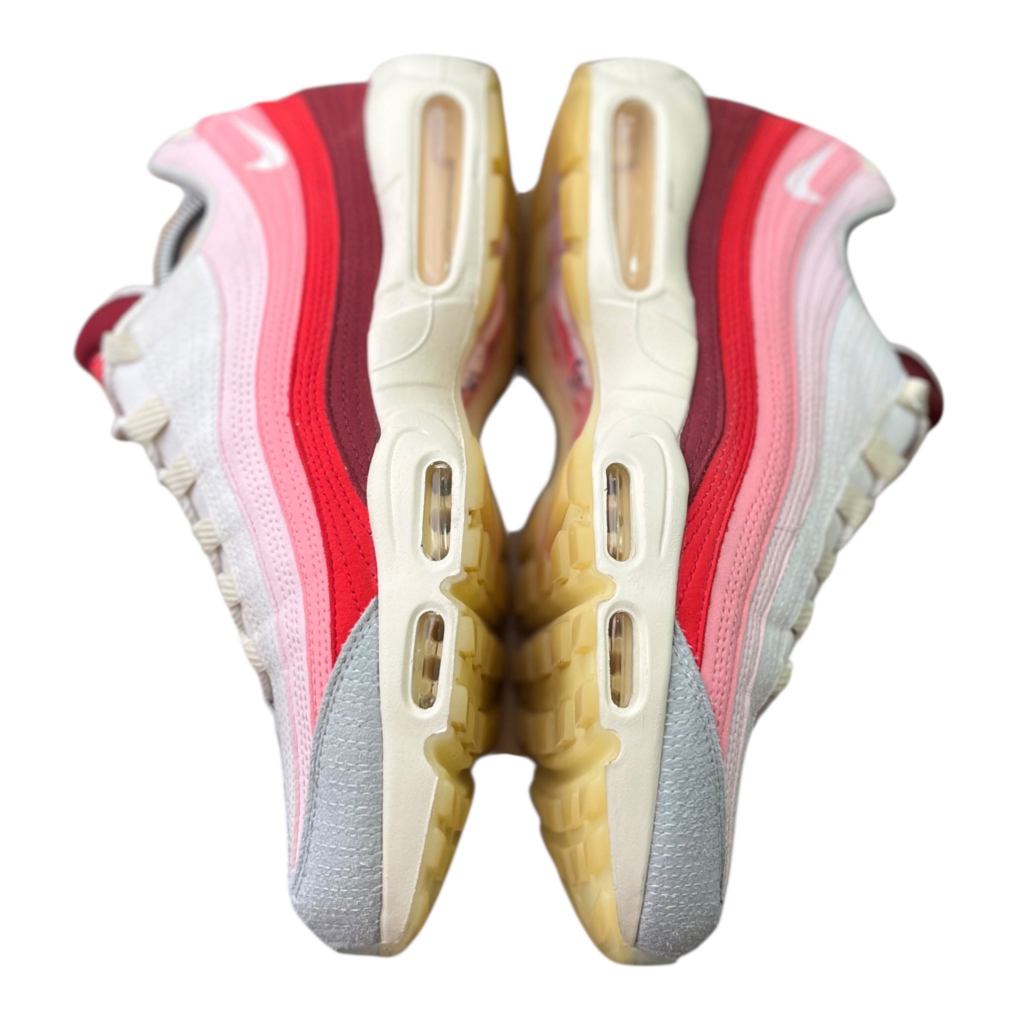 Nike Air Max 95 Anatomy Of Air (45.5EU)