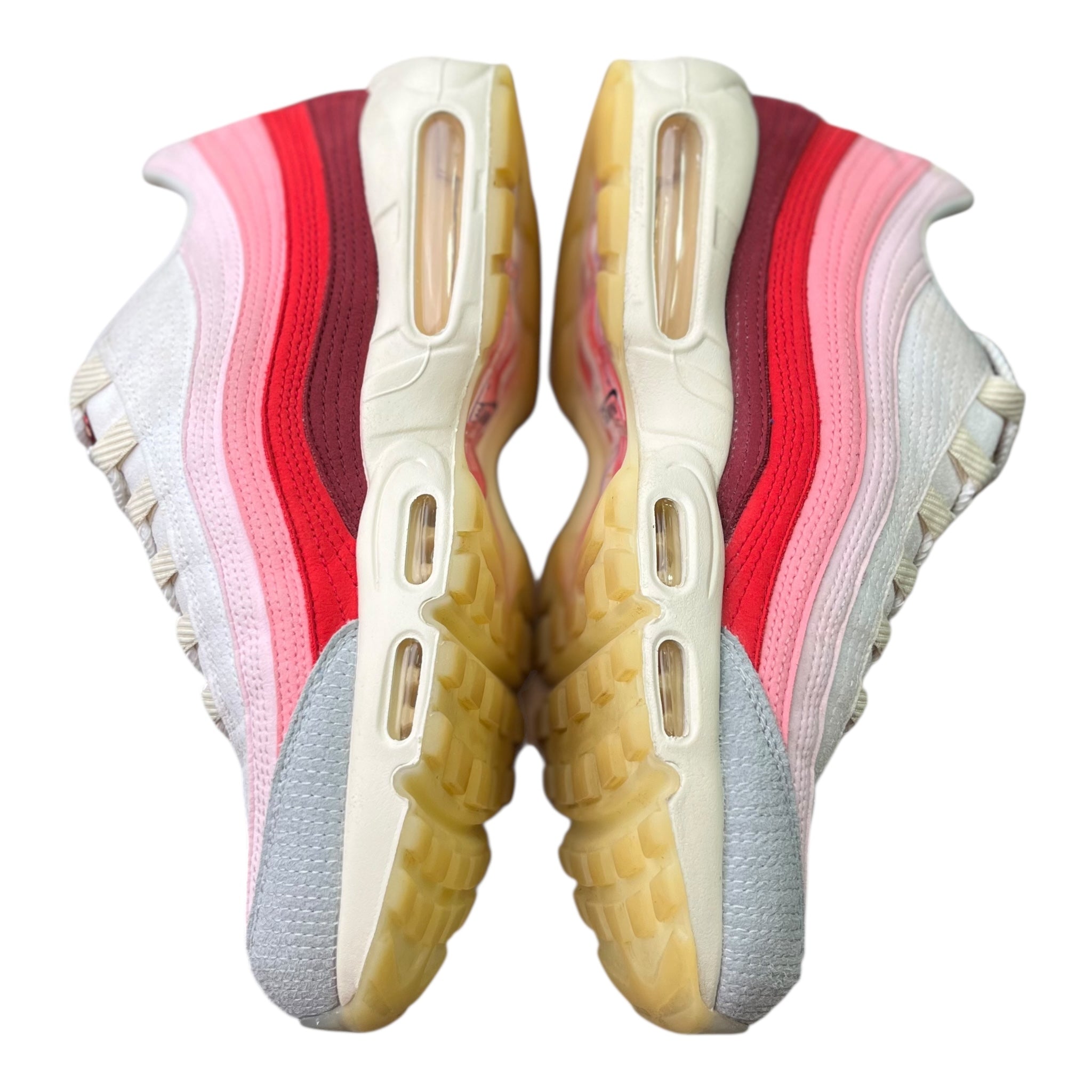 Nike Air Max 95 Anatomy Of Air (45.5EU)